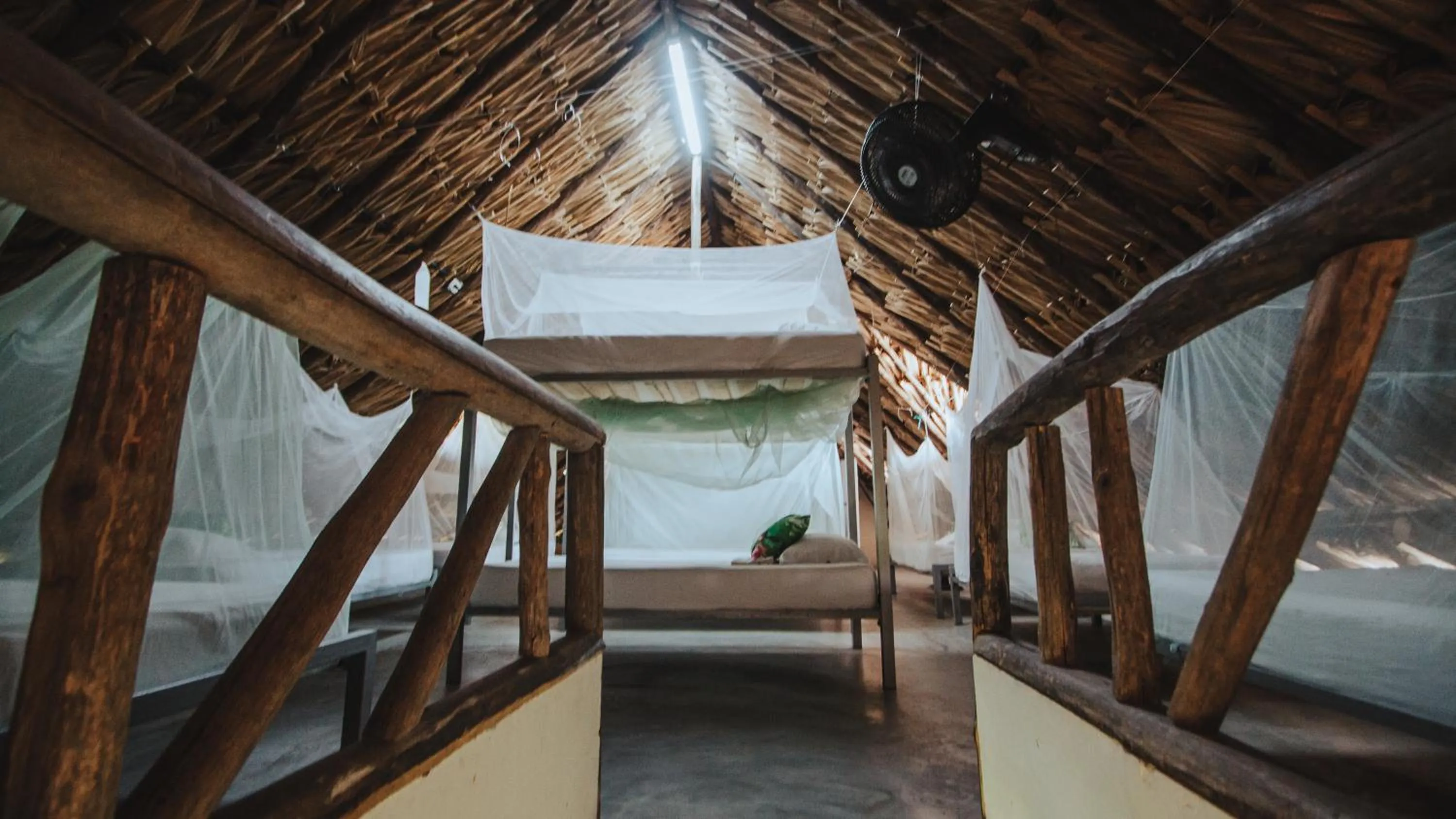 bunk bed, Bed in Makenke Hostel By Los Colores Ecoparque