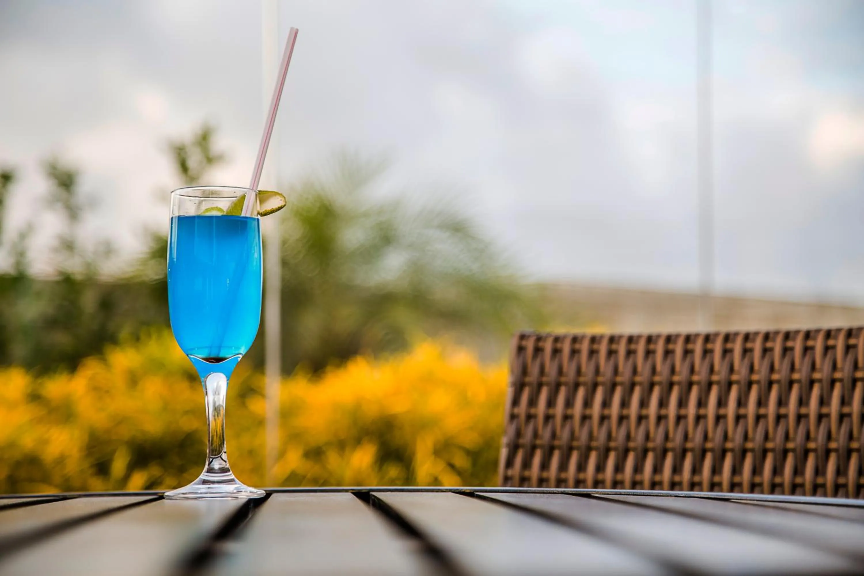 Drinks in Laguna Praia Hotel