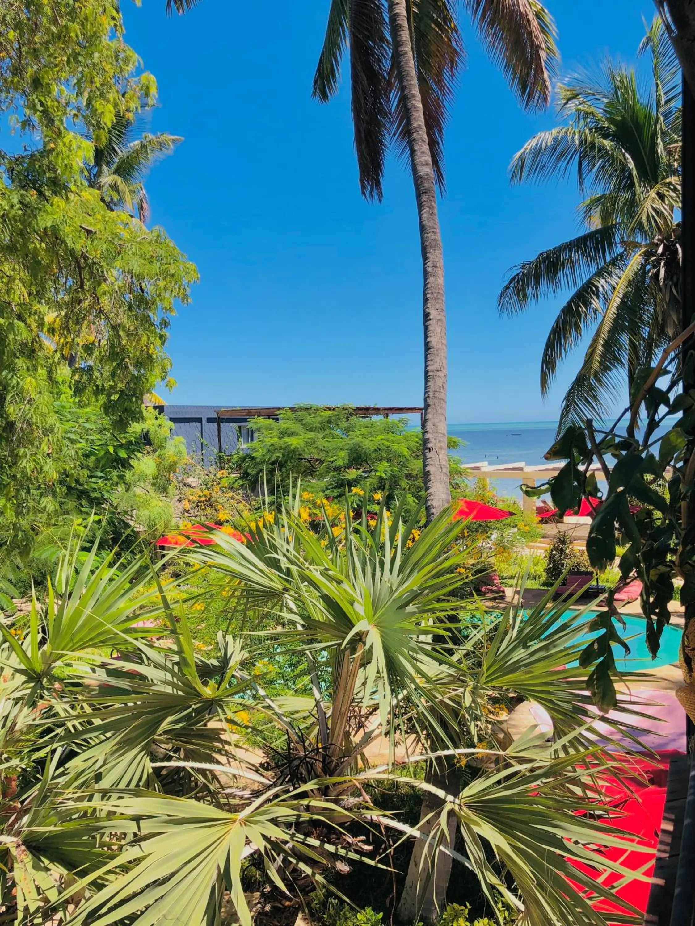 Pool view in Ifaty Beach Club Resort