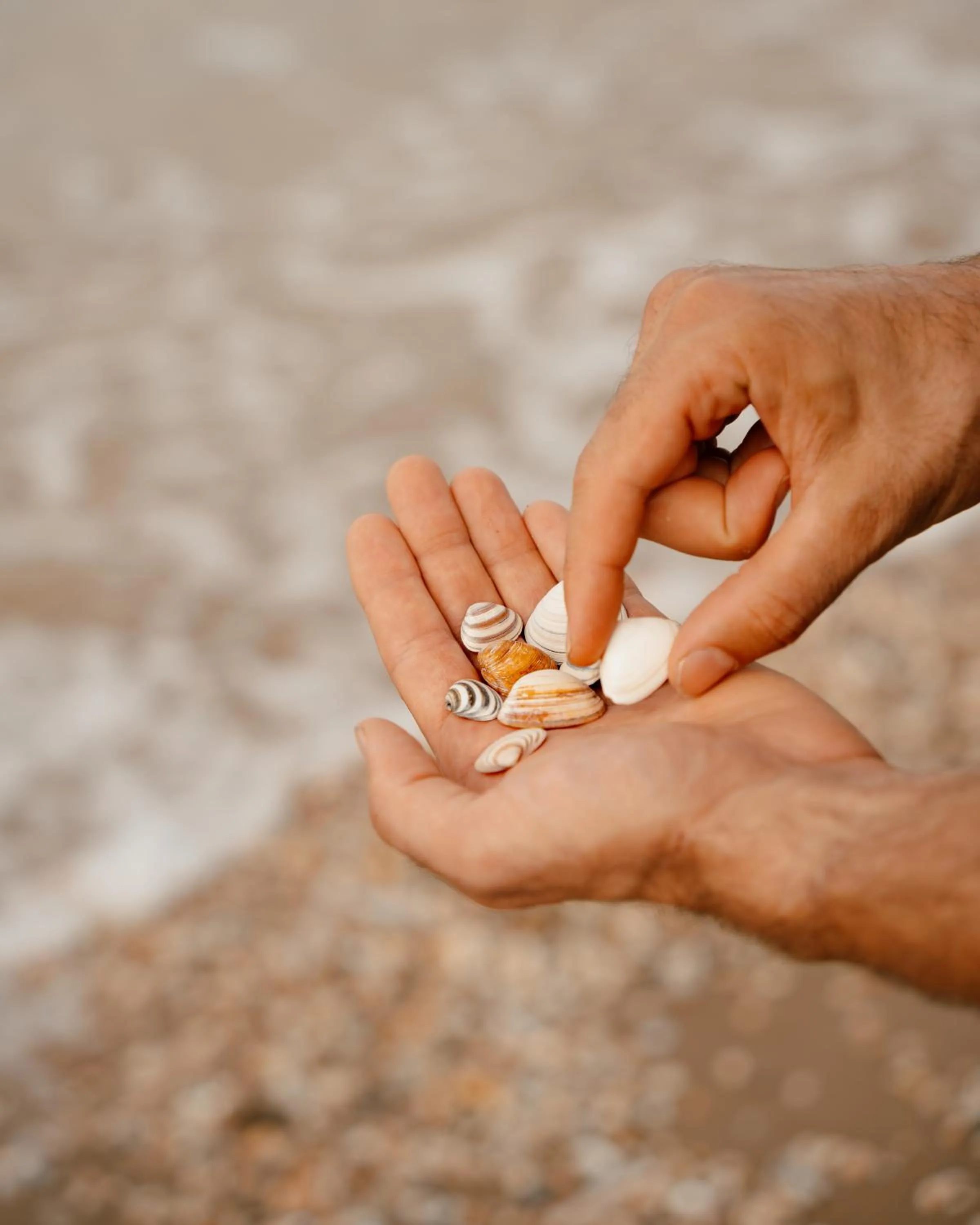 Location in Ocean House Scheveningen