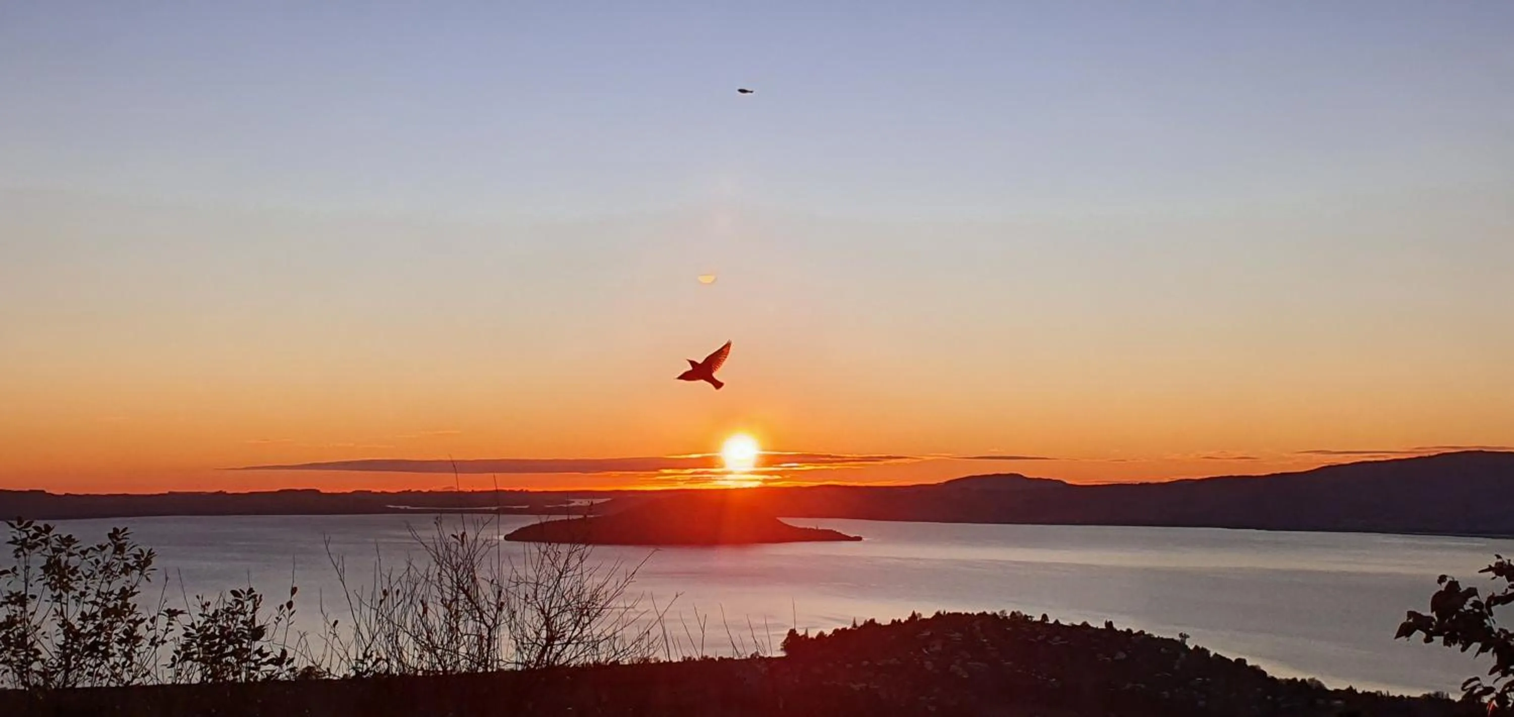 Aorangi Mountain Lodge