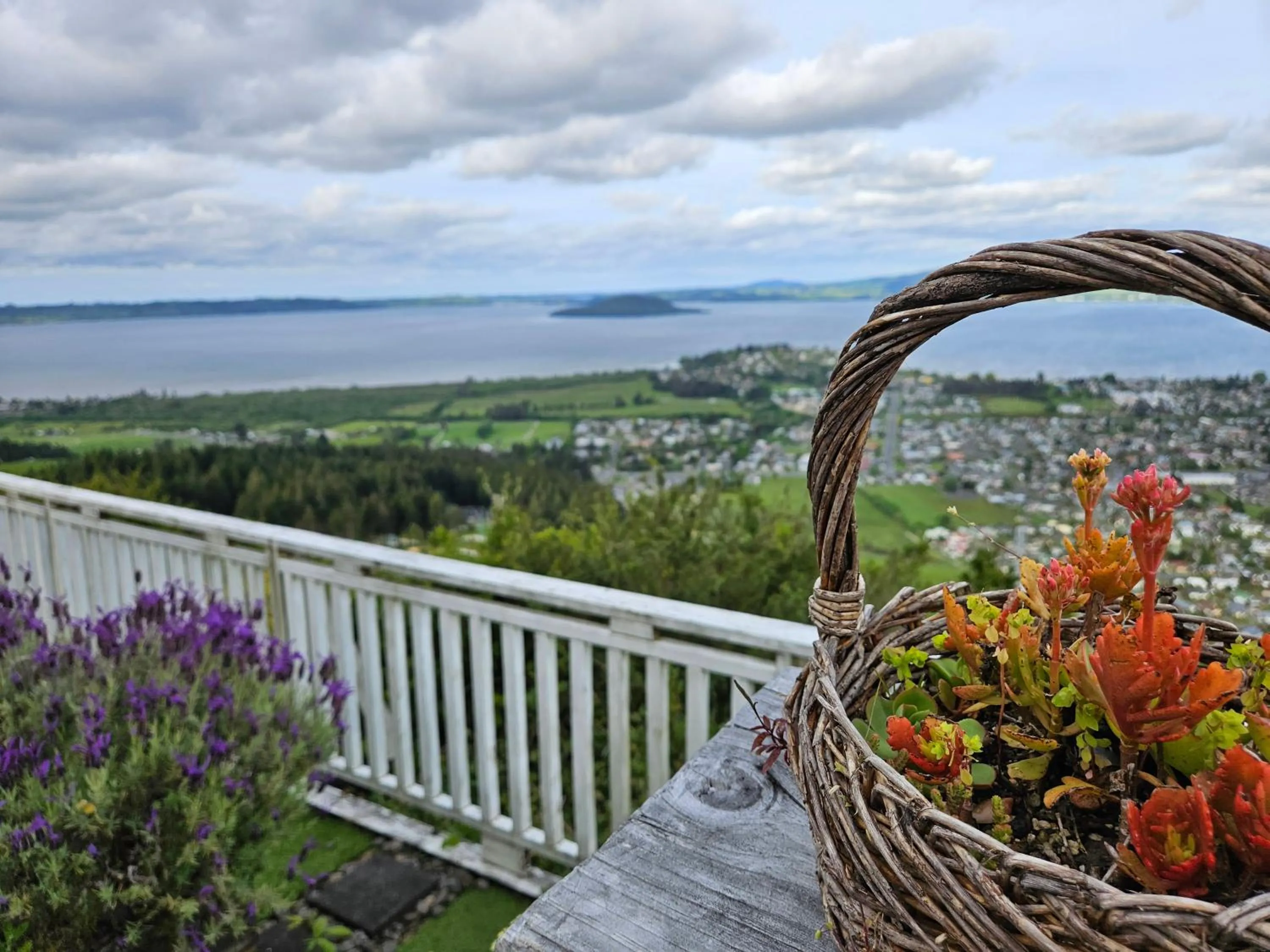 Aorangi Mountain Lodge