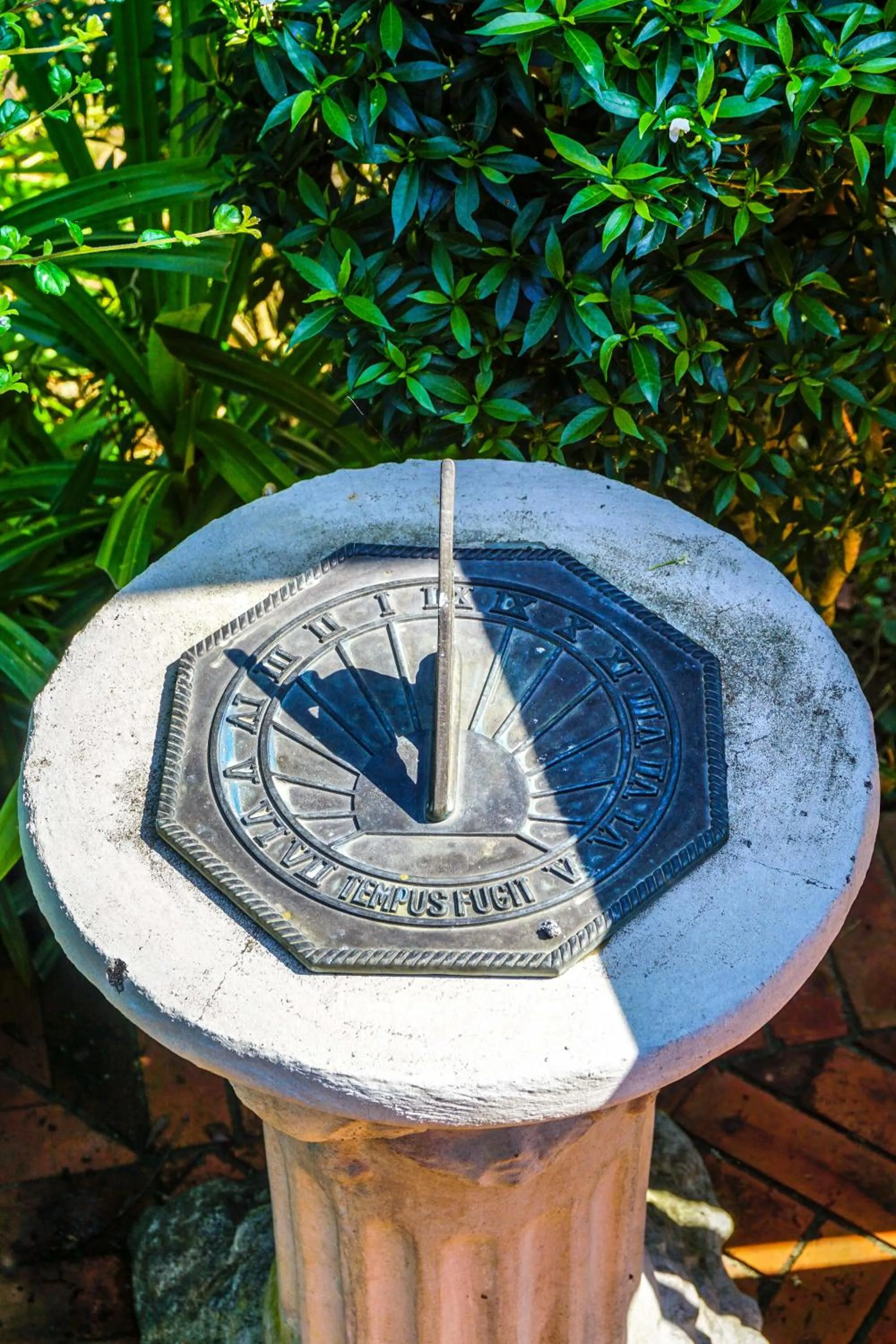 Restaurant/places to eat in Reverie Siam