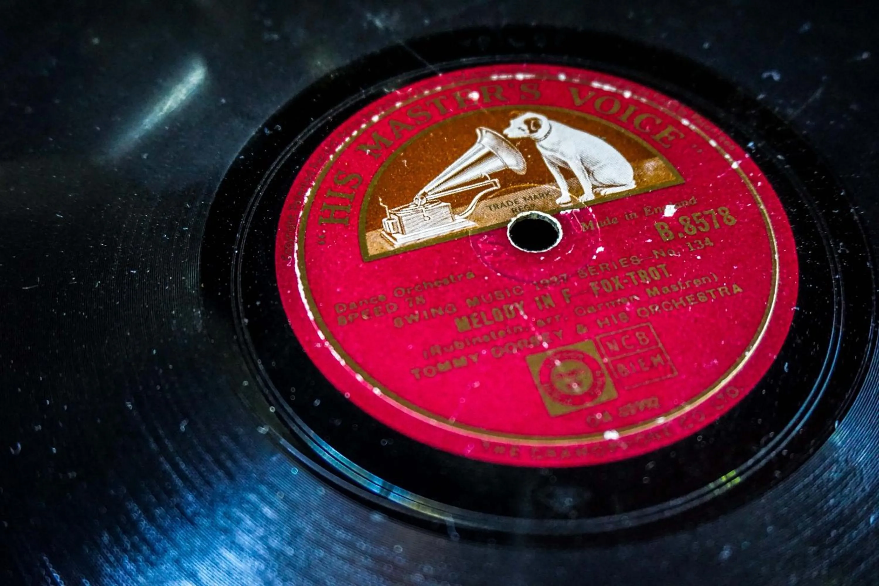 Restaurant/places to eat in Reverie Siam