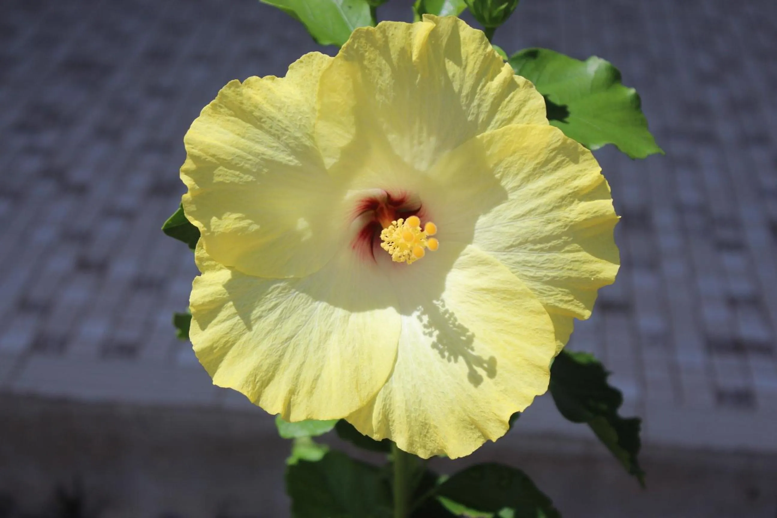 Other in Amaroo On Mandalay, Magnetic Island