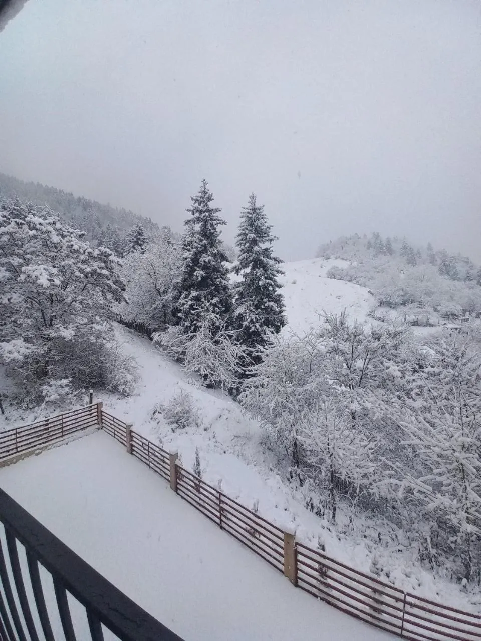 Mountain view in Holiday Borjomi