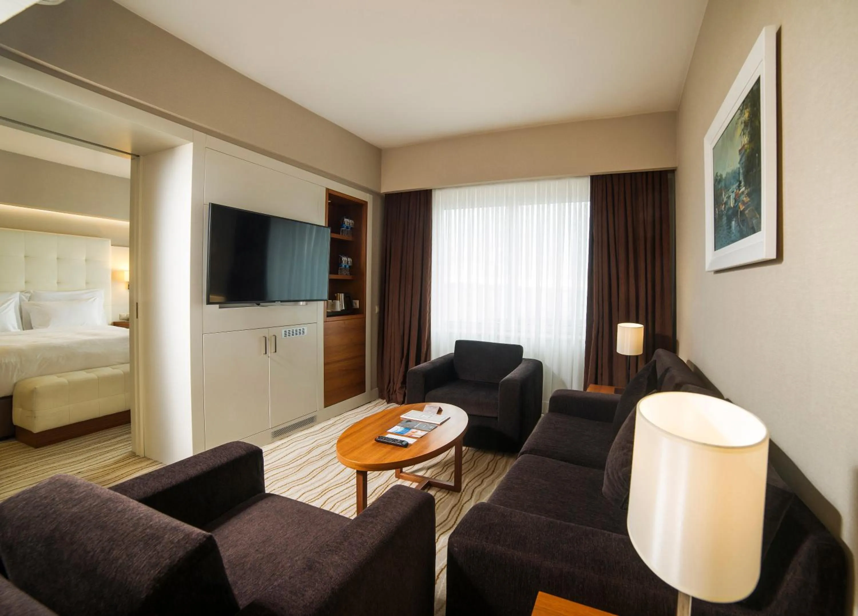 Communal lounge/ TV room in Radisson Hotel President Old Town Istanbul