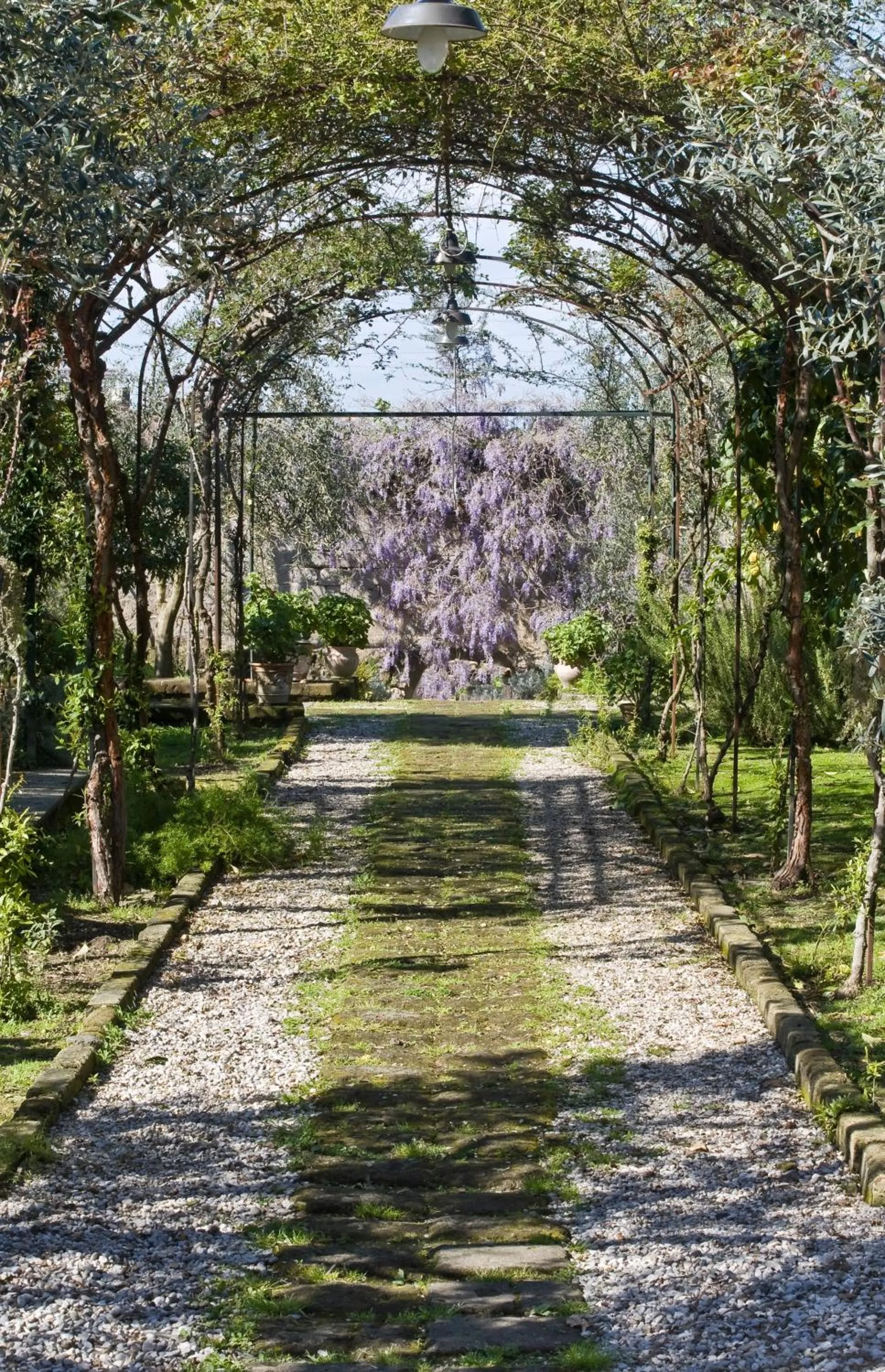 Garden in Chalet Lidia