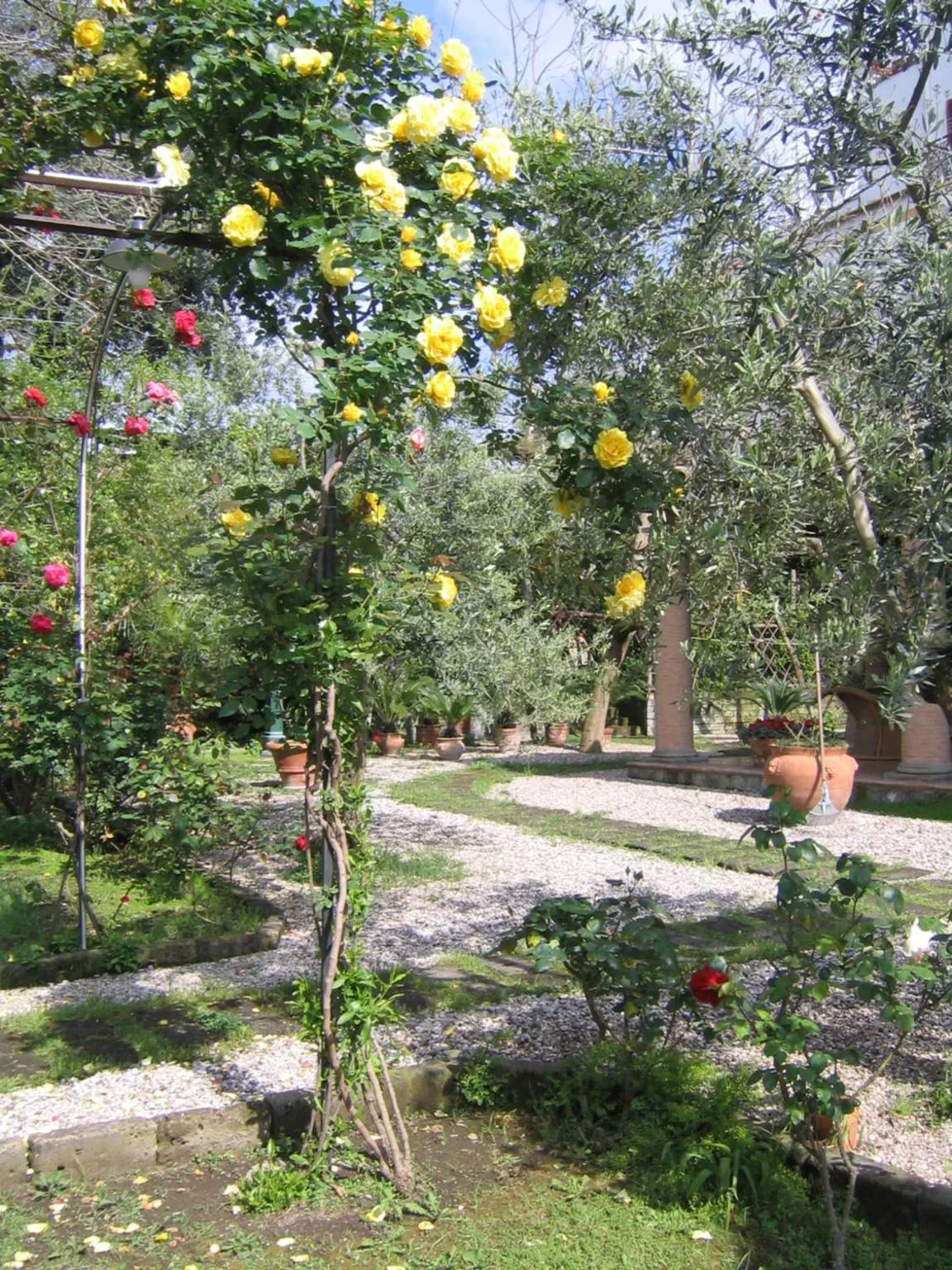 Garden in Chalet Lidia
