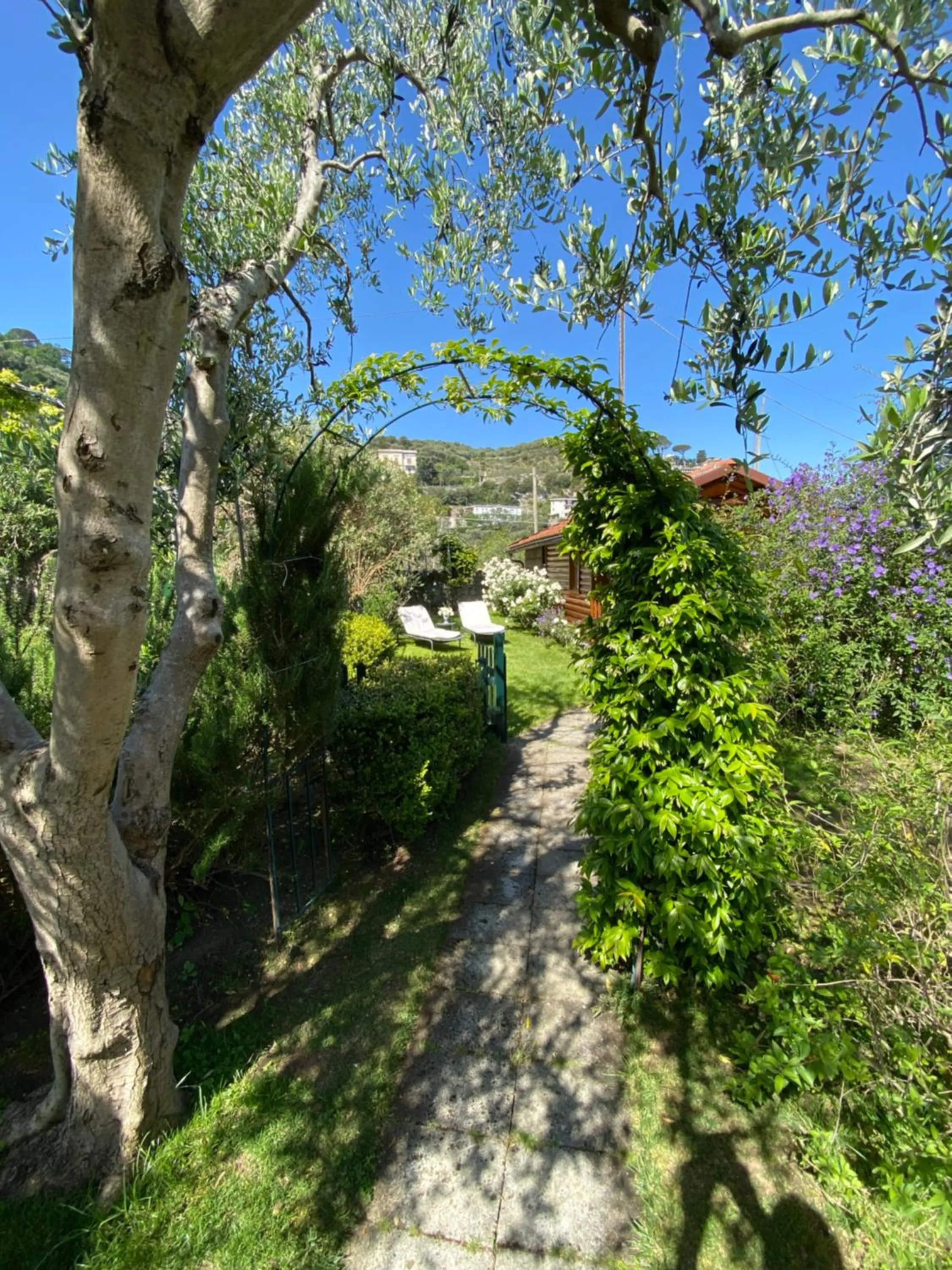 Facade/entrance in Chalet Lidia