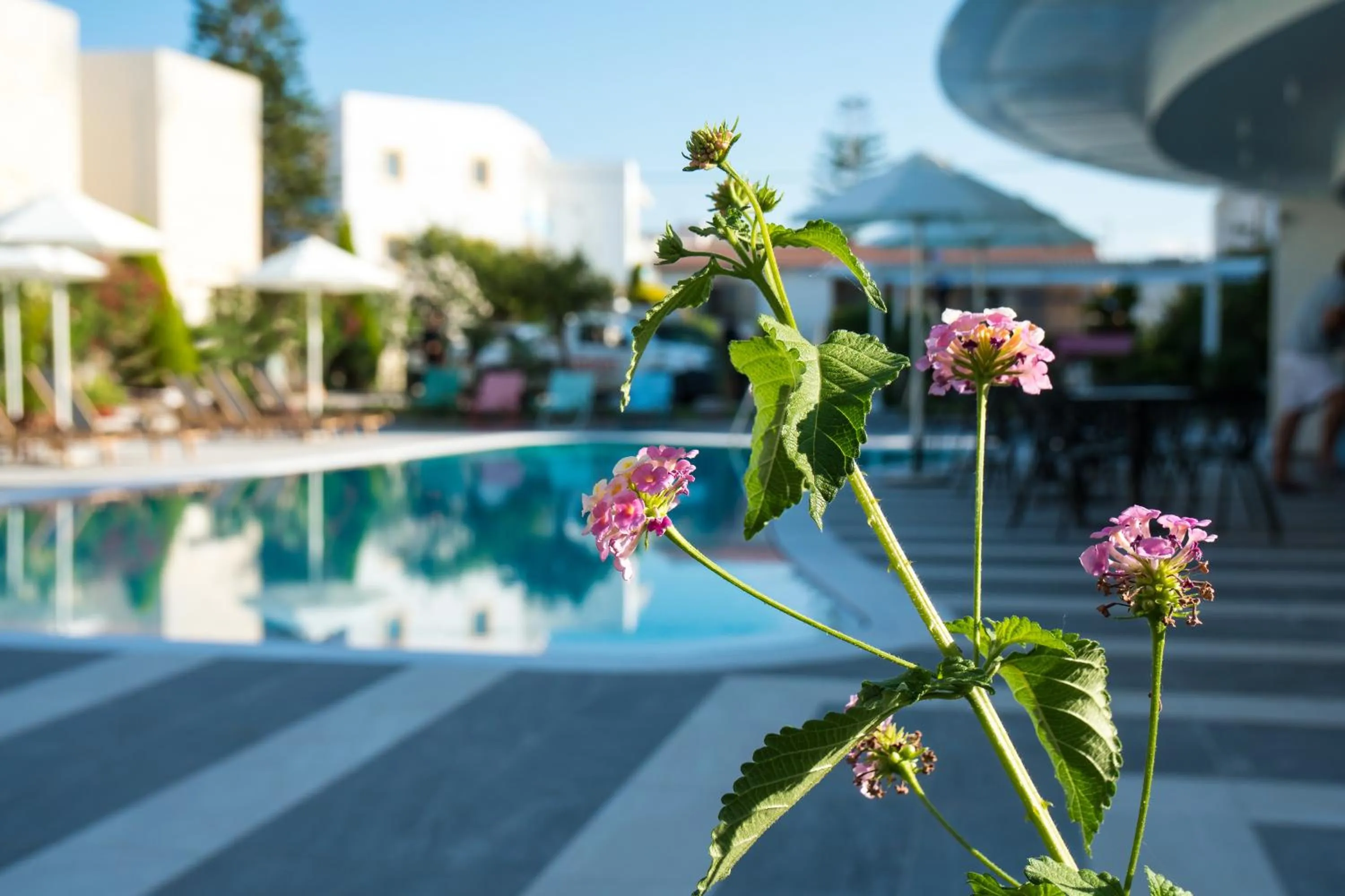 Pool view in Evdokia Suites