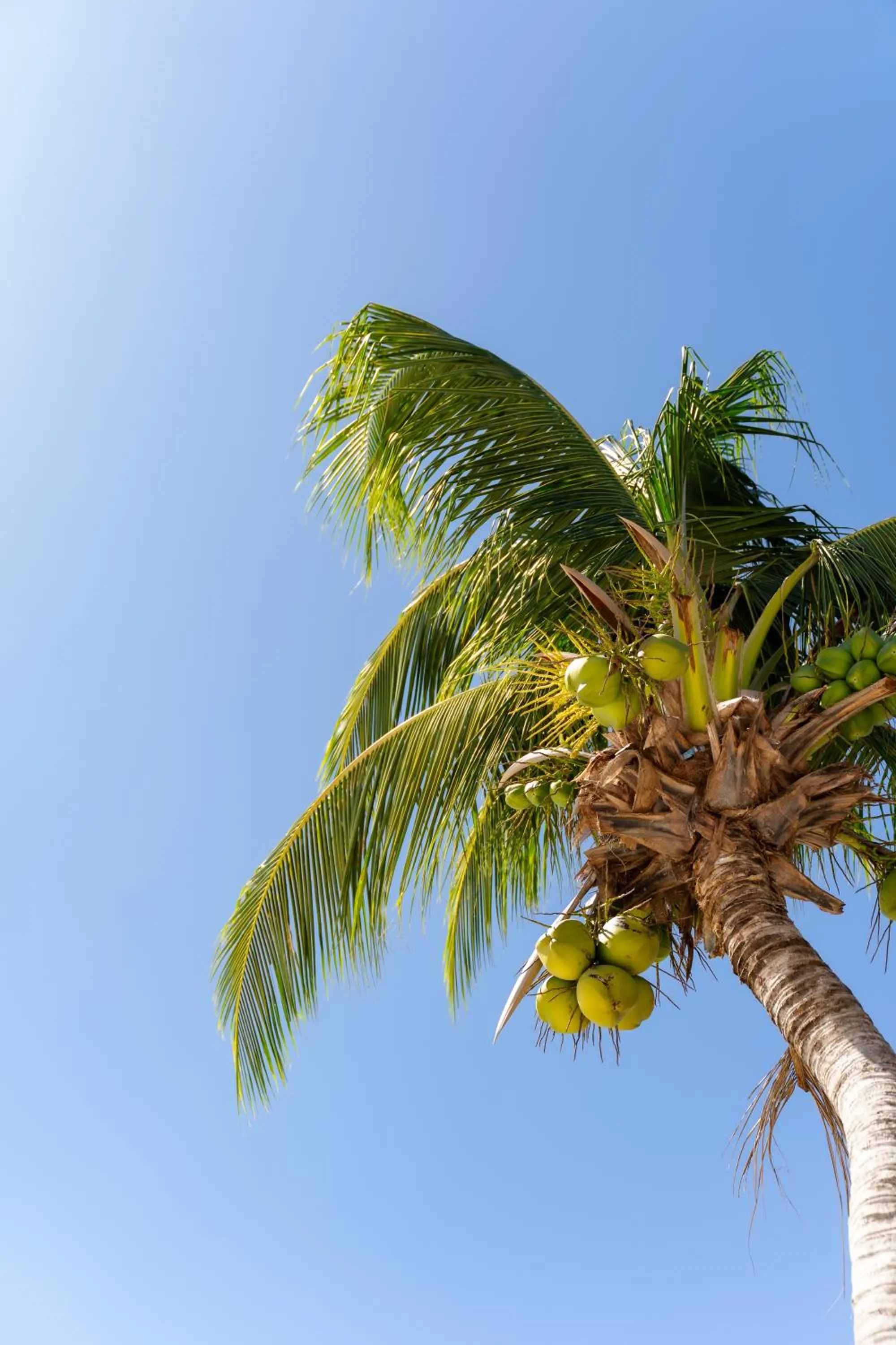 Natural landscape in Golden Beach Resort