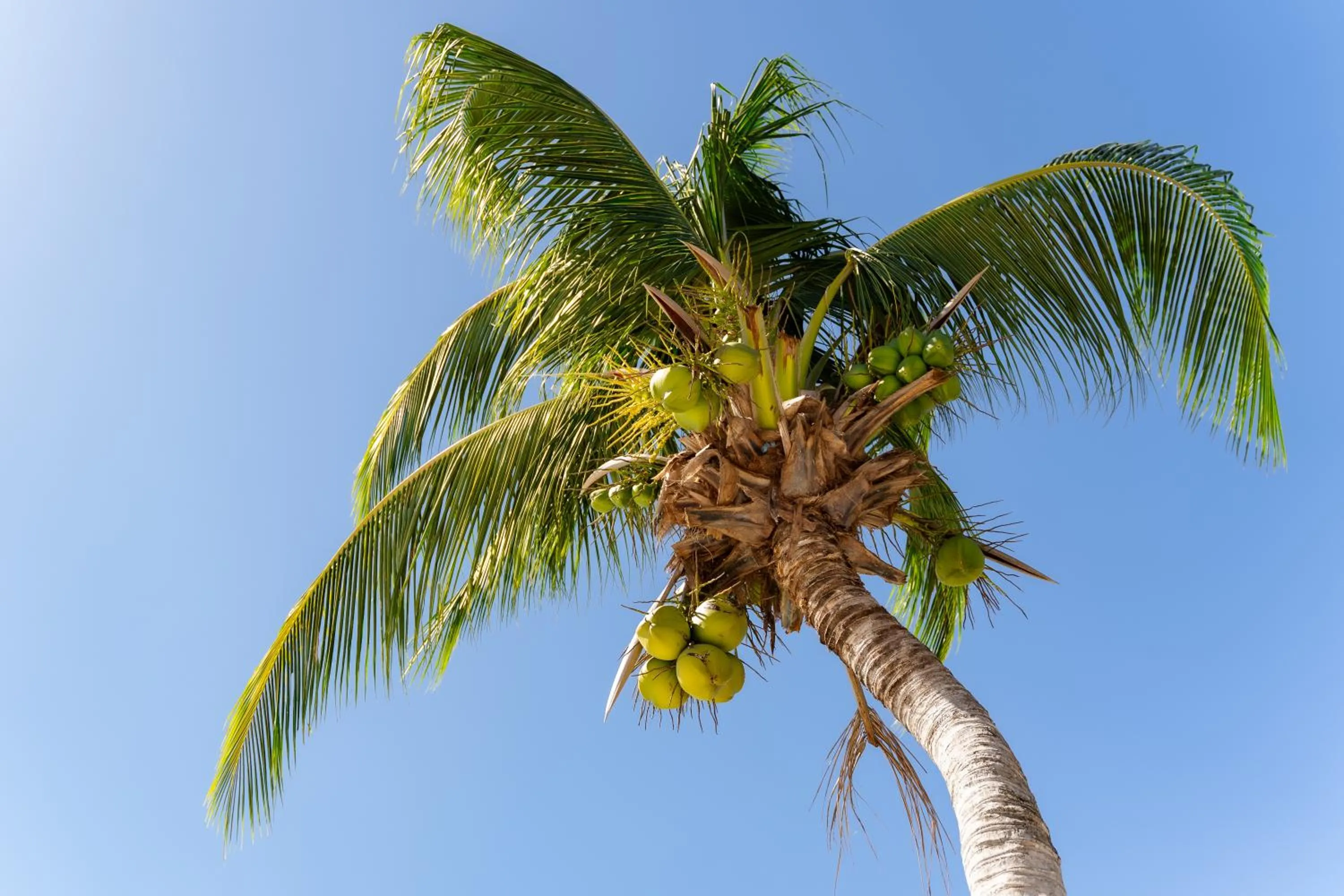 Natural landscape in Golden Beach Resort