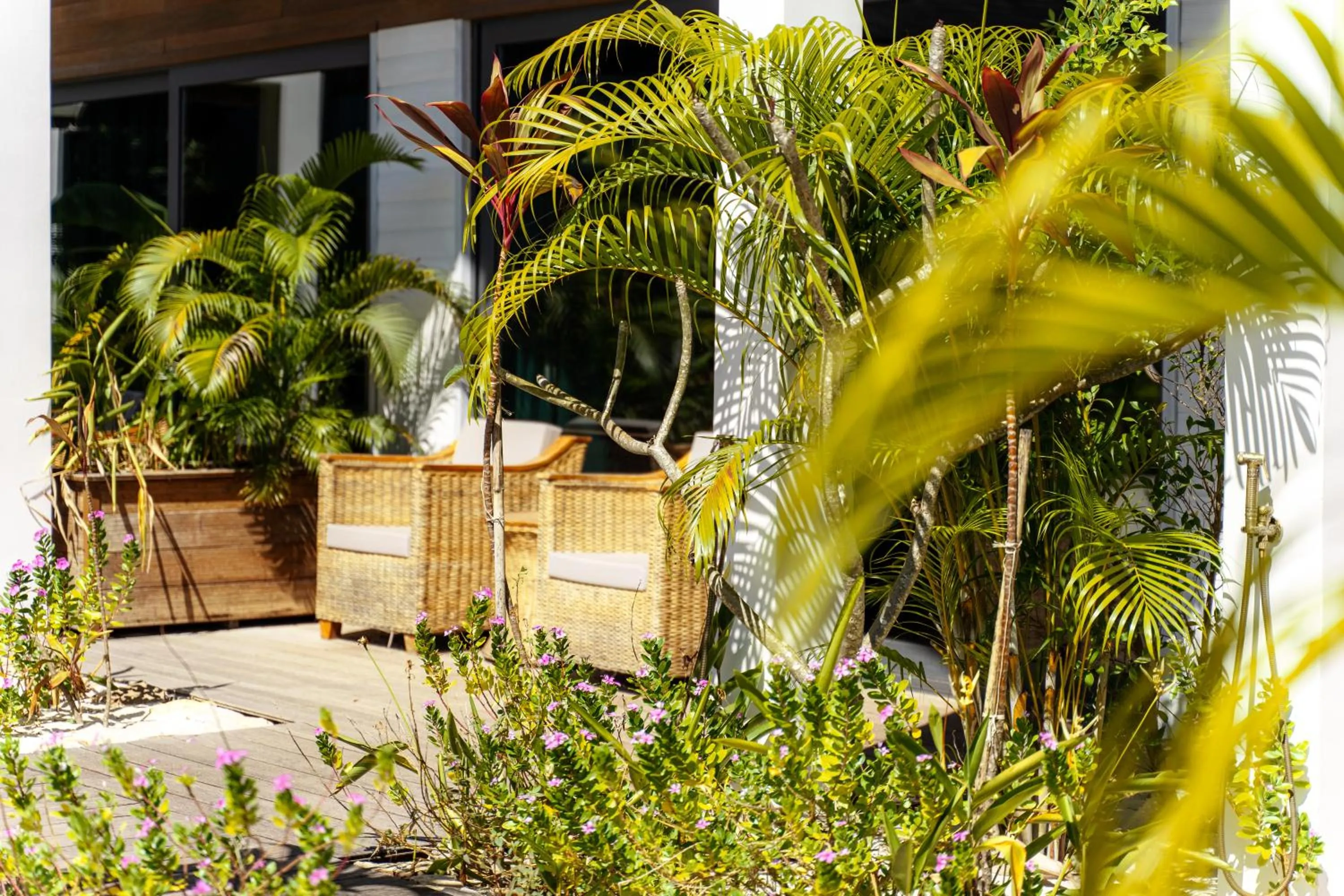 Garden in Golden Beach Resort