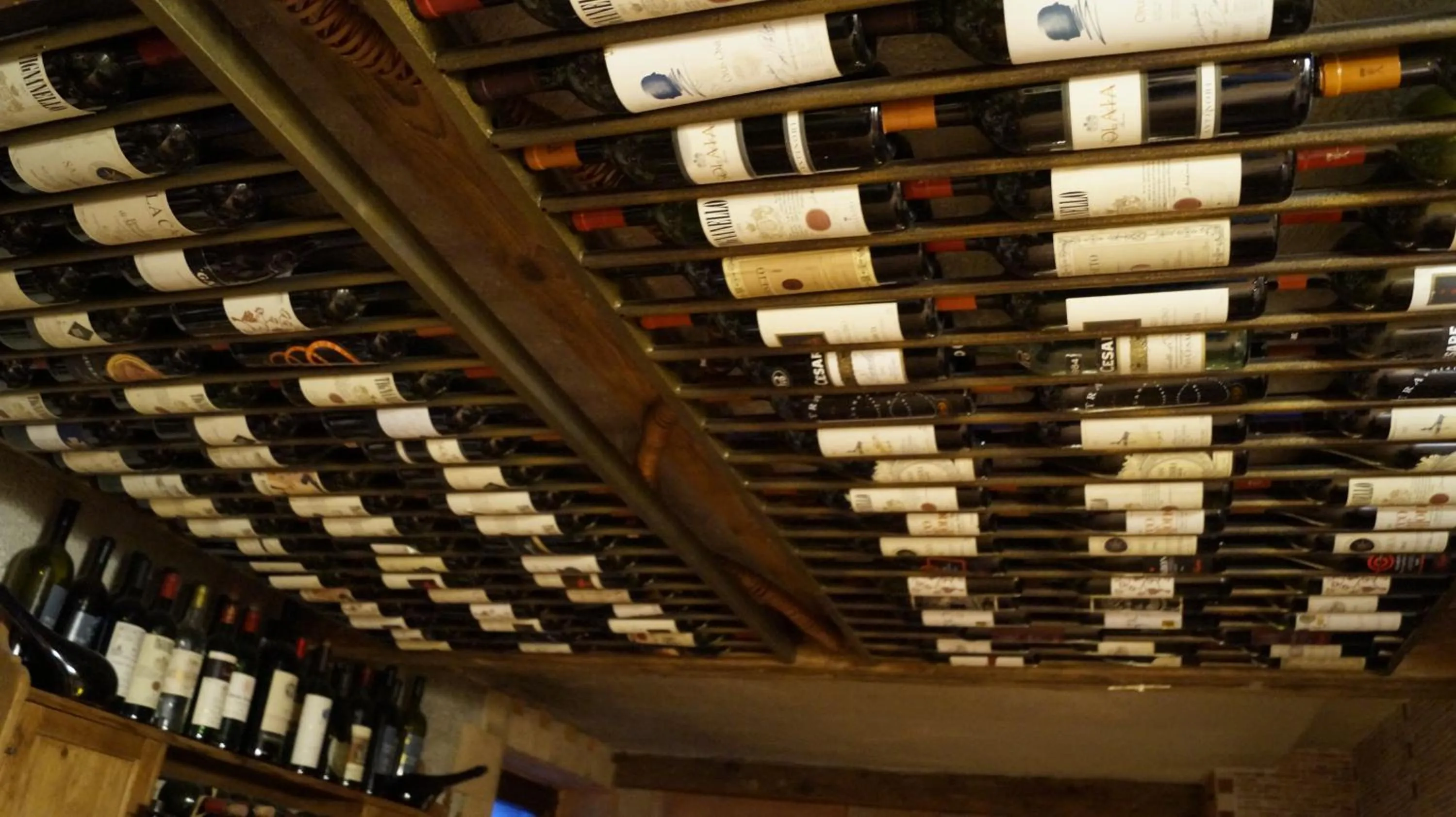 Activities in Hotel Ristorante La Terrazza