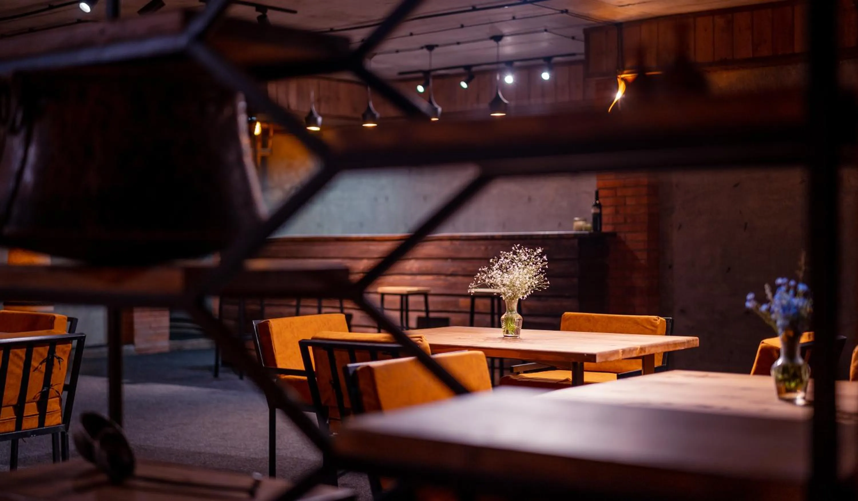 Restaurant/places to eat in Hotel Darchi Kazbegi