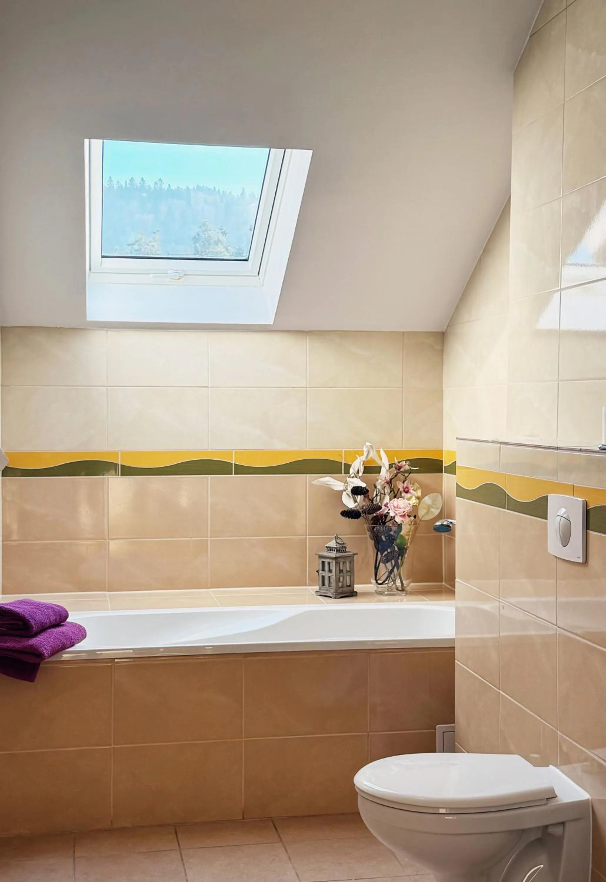 Toilet in Dworek nad Wisłą