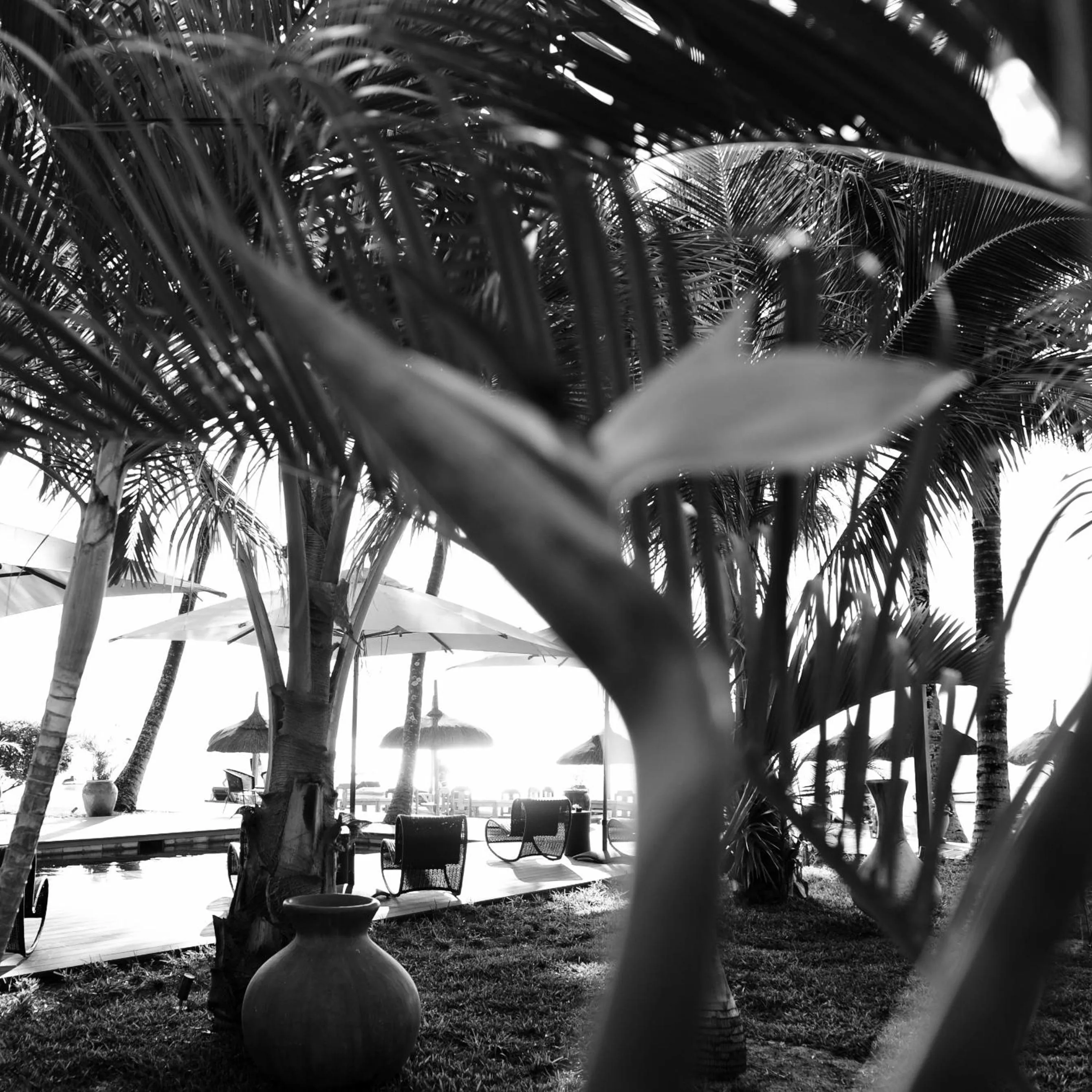 Swimming pool in Constance Sakoa Boutik