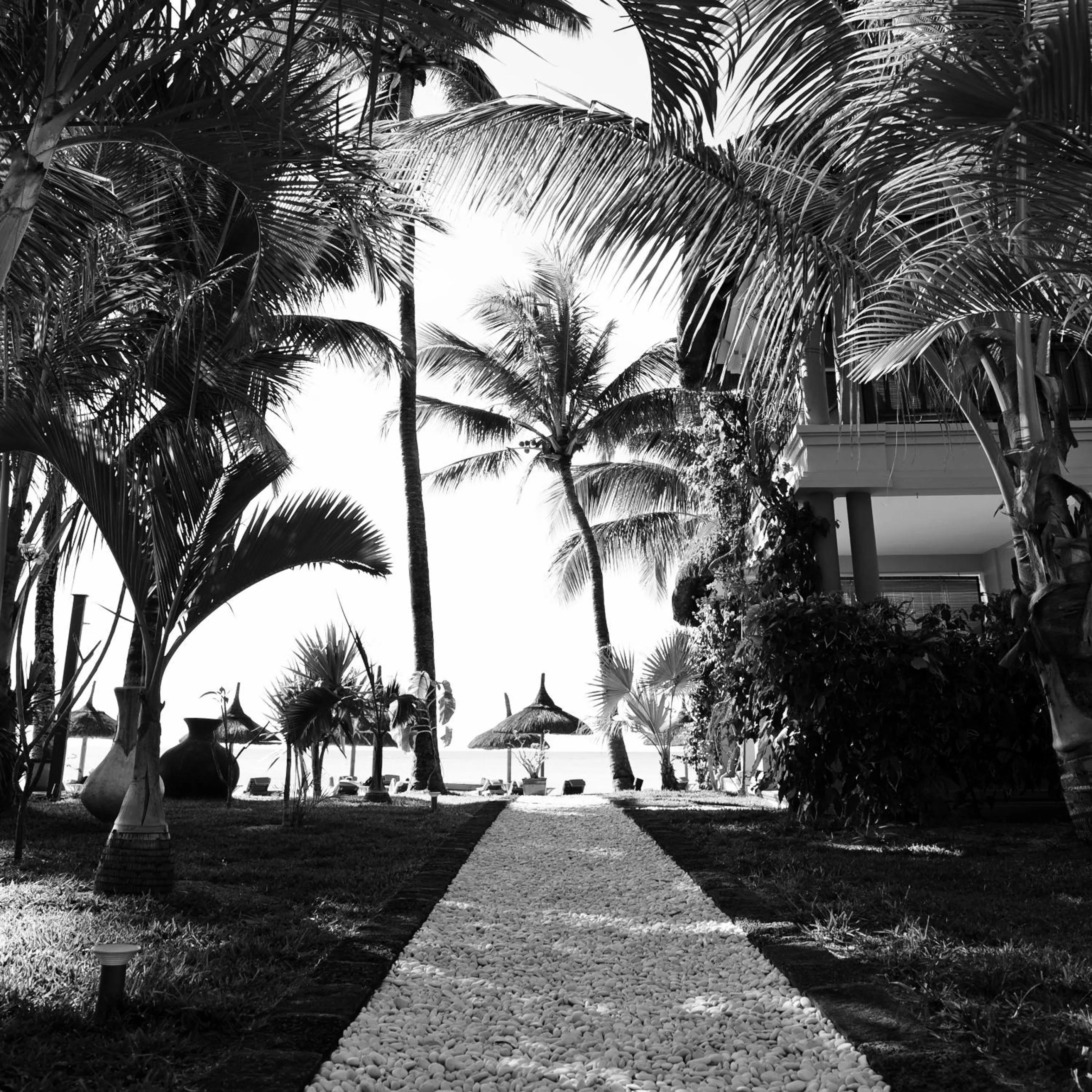 Garden in Constance Sakoa Boutik