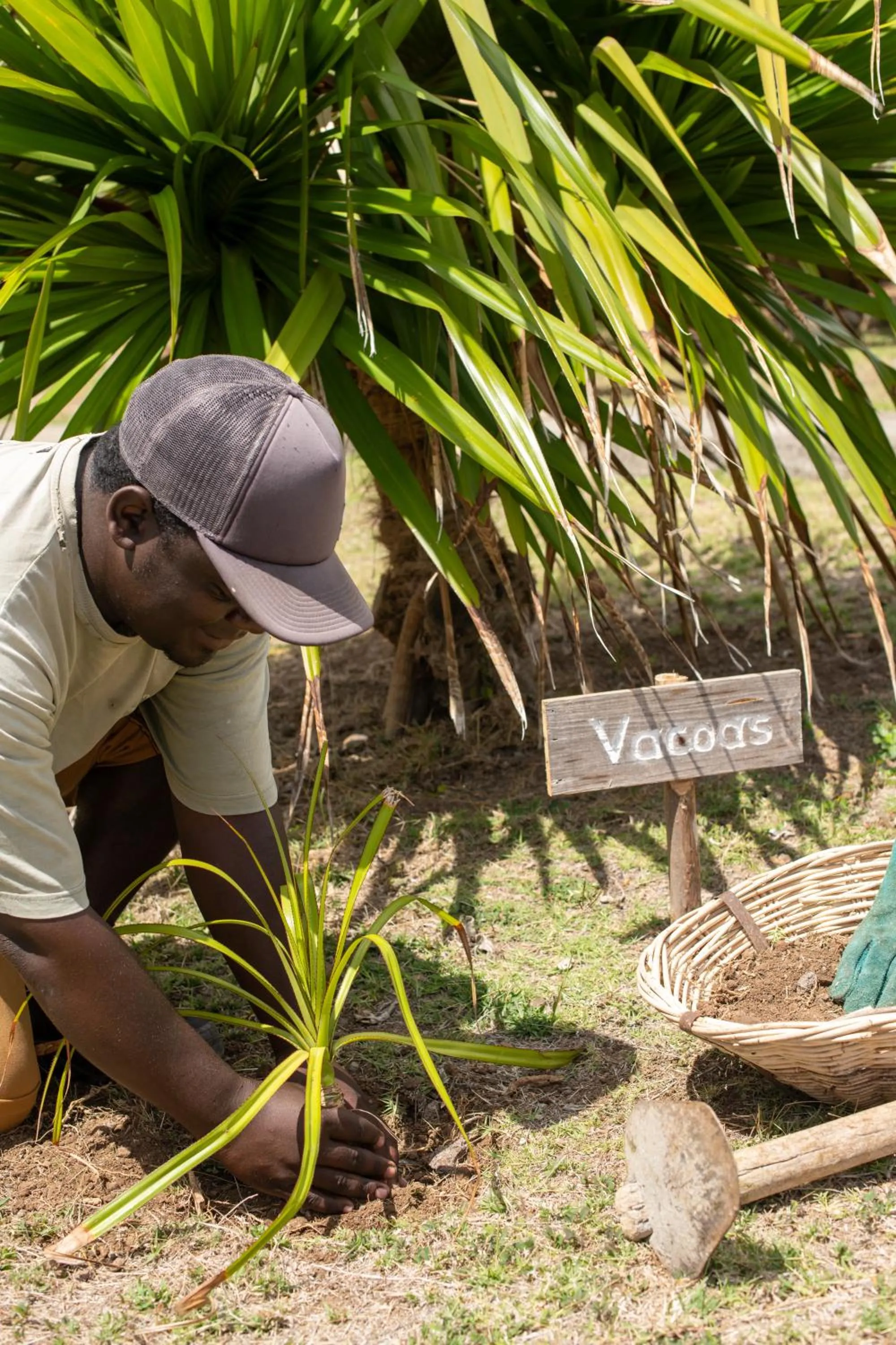Garden in Constance Tekoma - Rodrigues Island