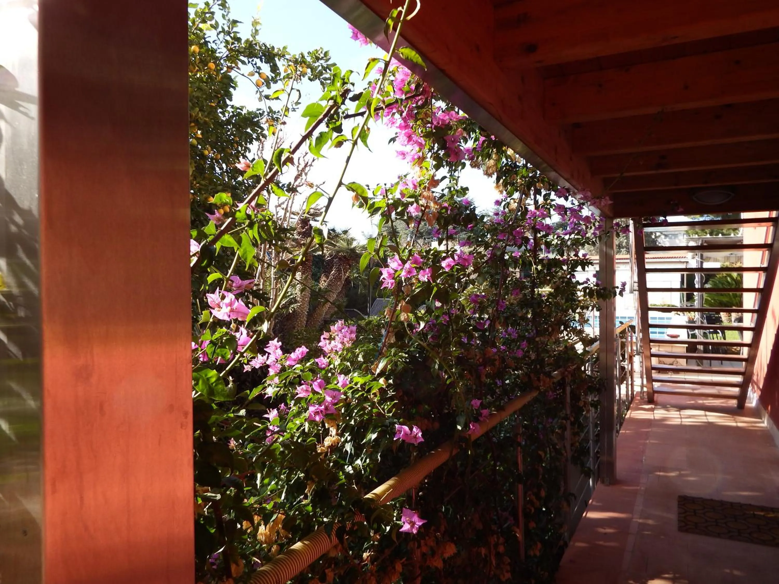 Balcony/Terrace in B&B Albaluna