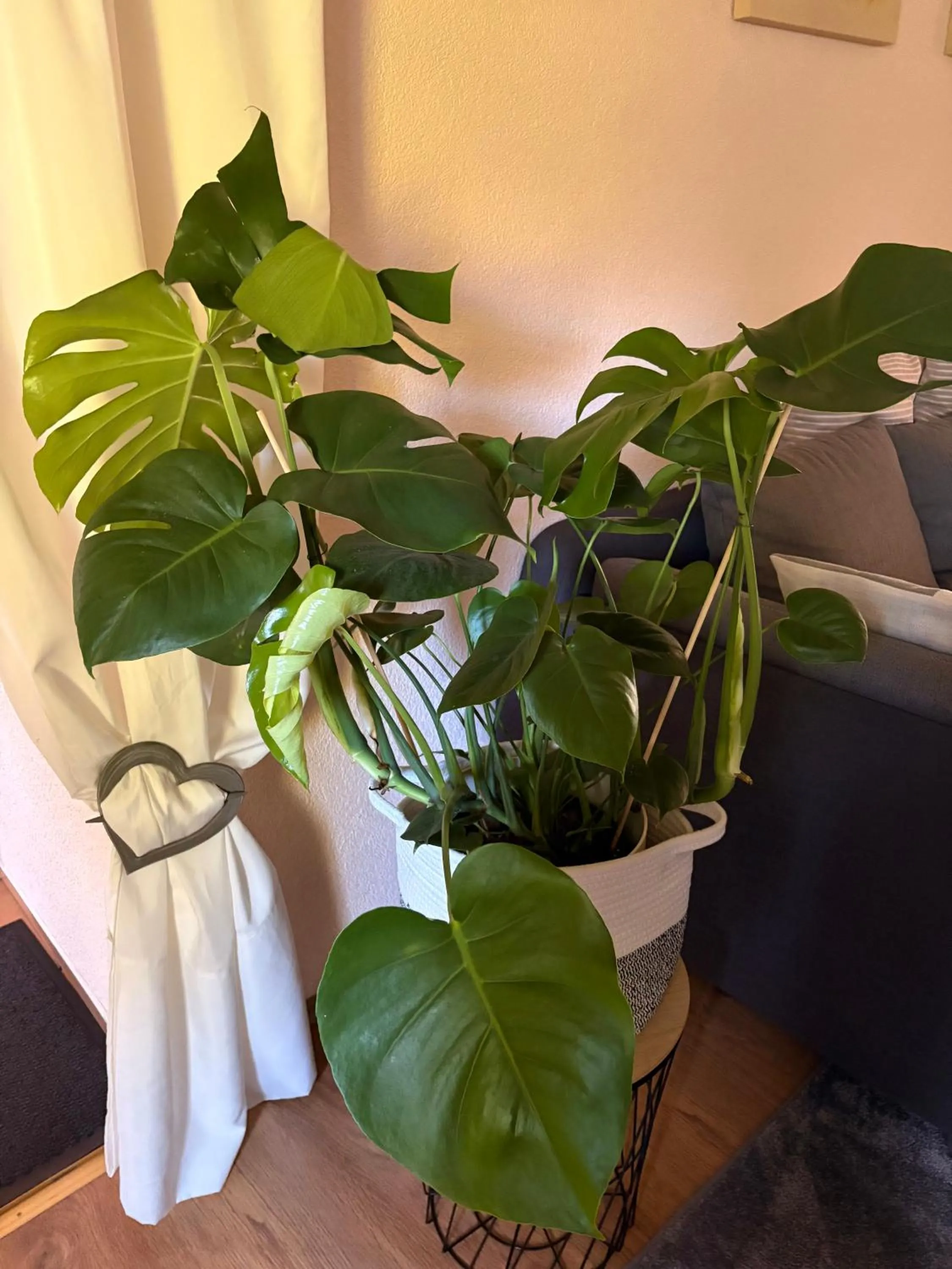 Apartment Dietze