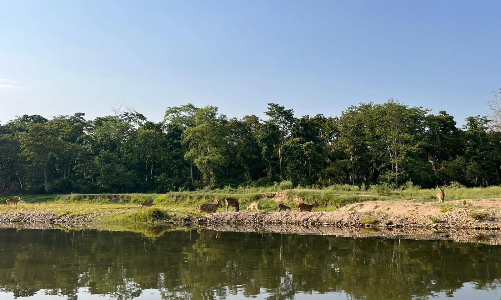 Activities in Hotel BhupuSainik Sauraha, Chitwan