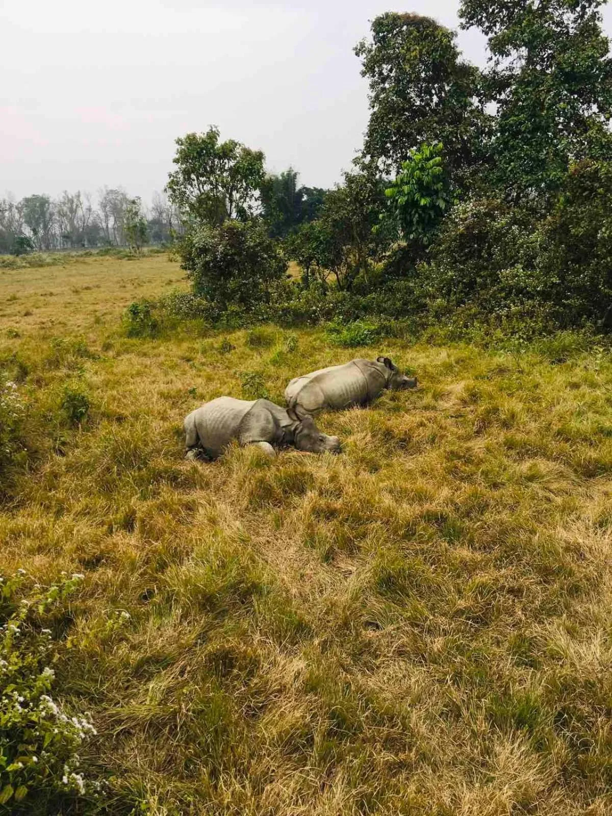 Activities in Hotel BhupuSainik Sauraha, Chitwan