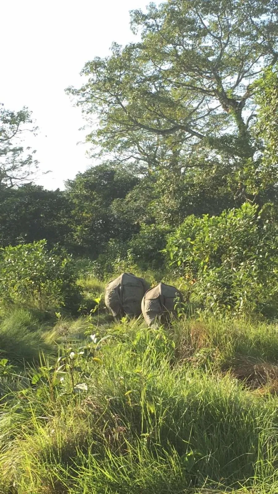 Activities in Hotel BhupuSainik Sauraha, Chitwan