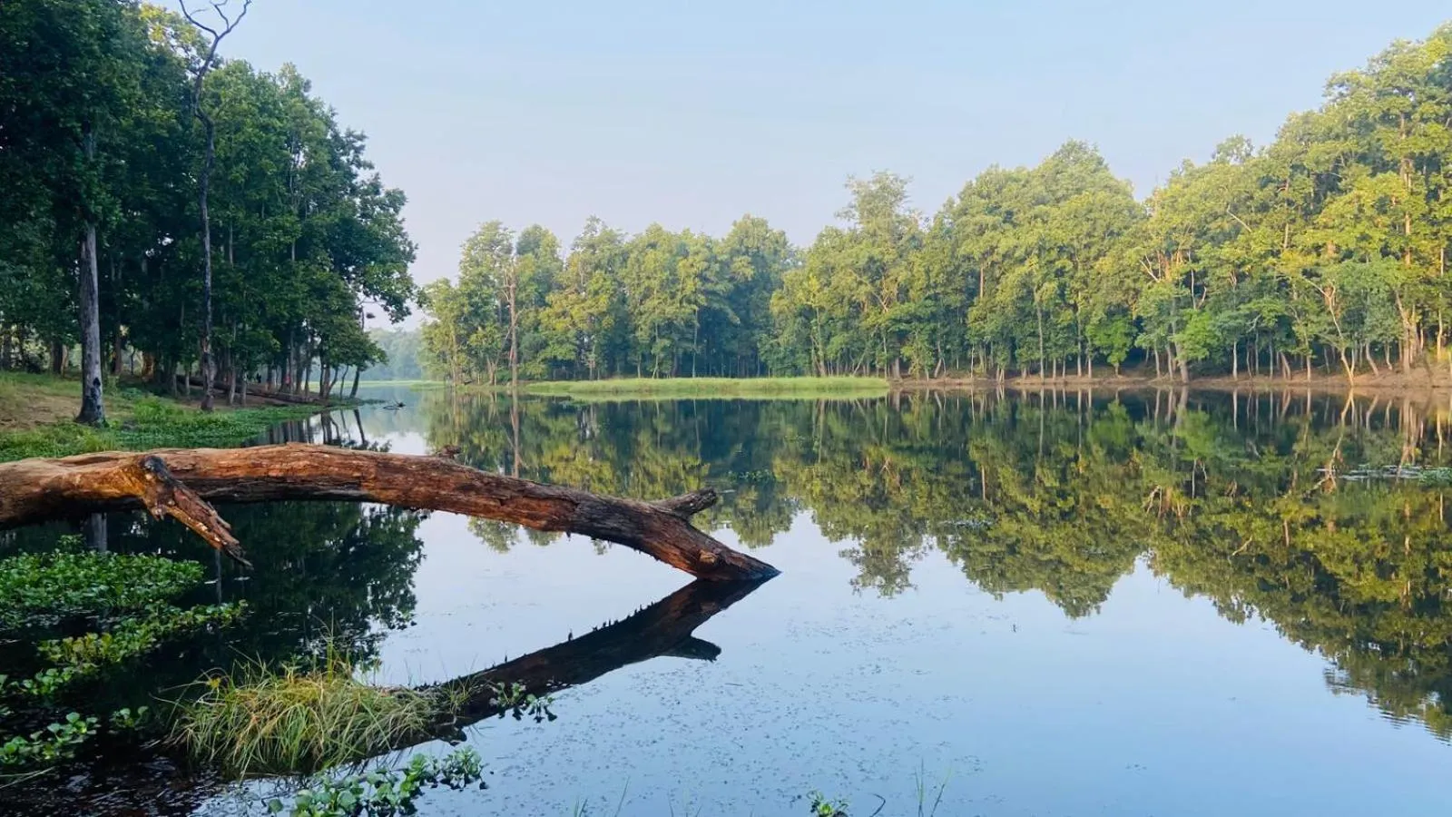 Activities in Hotel BhupuSainik Sauraha, Chitwan