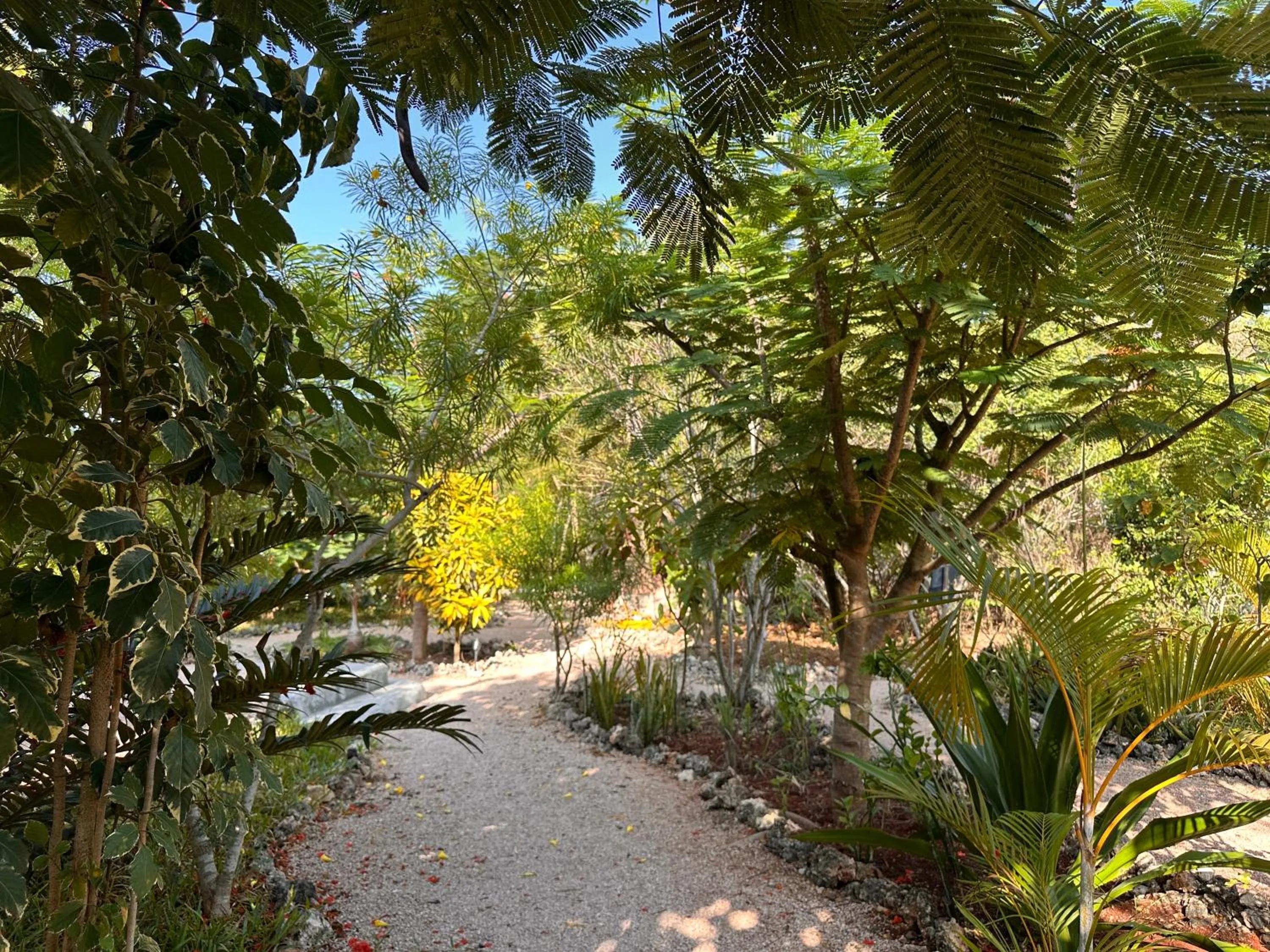 Garden in Kameleon Blue