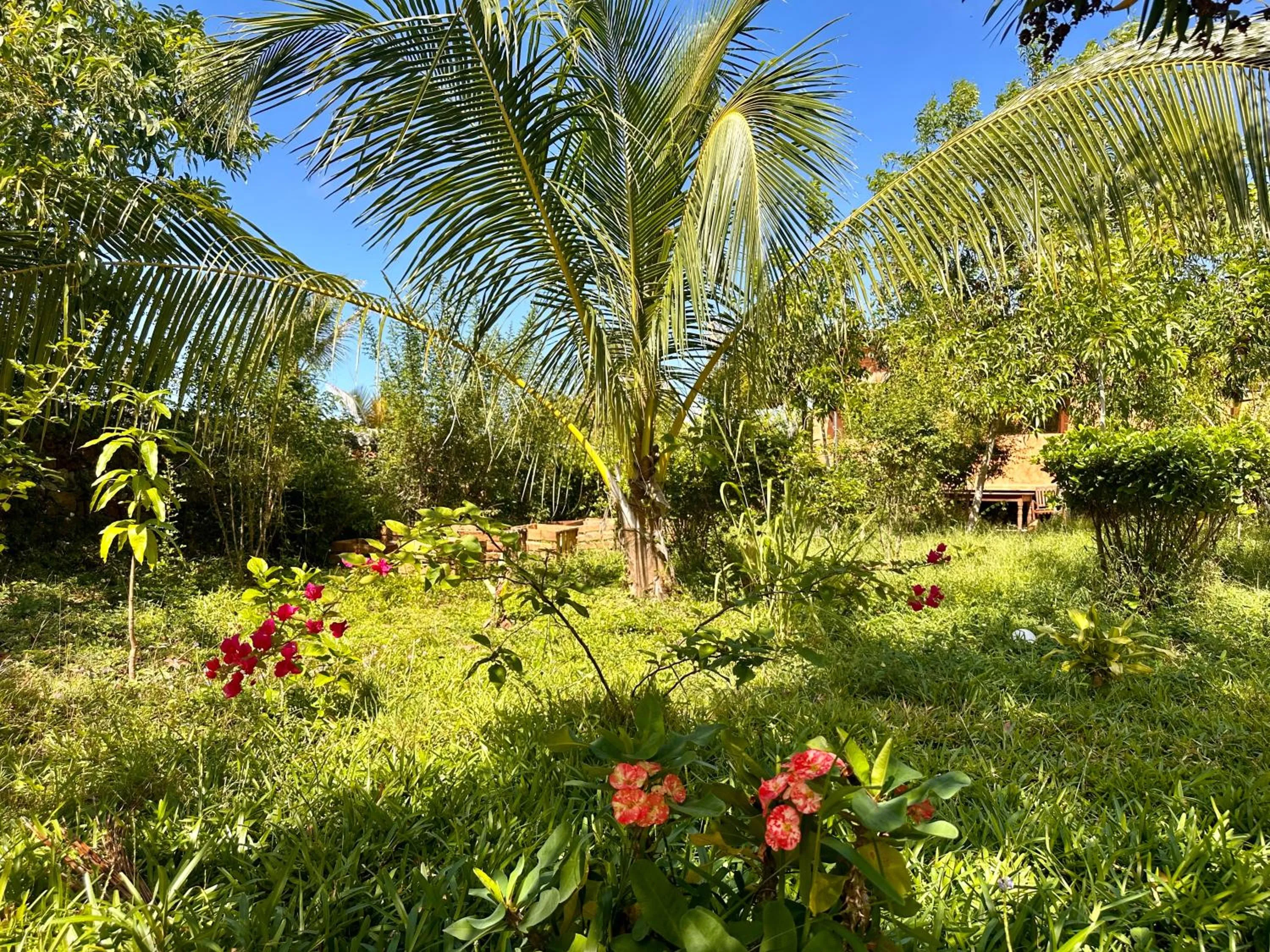 Garden in Kameleon Blue