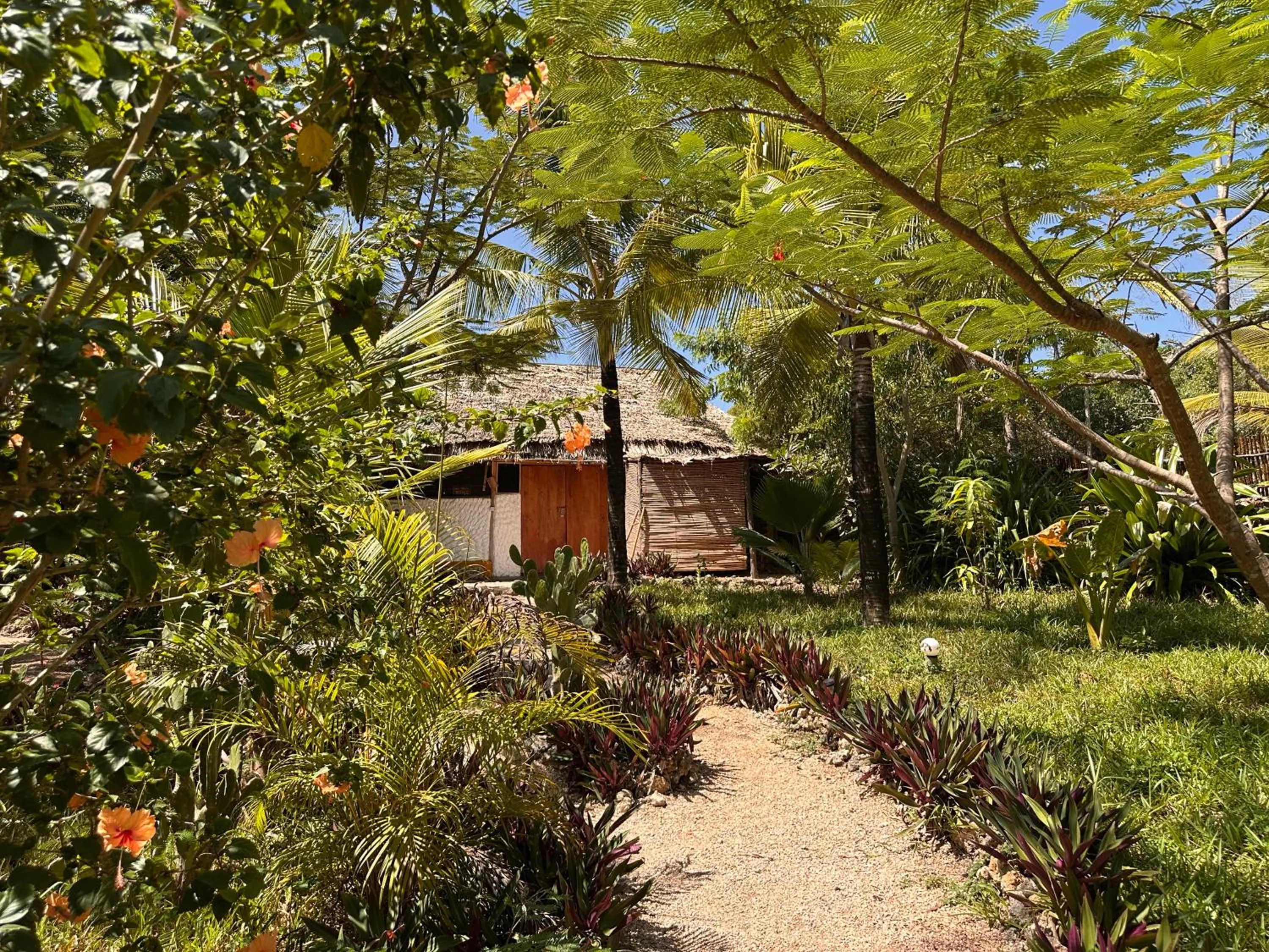 Garden in Kameleon Blue