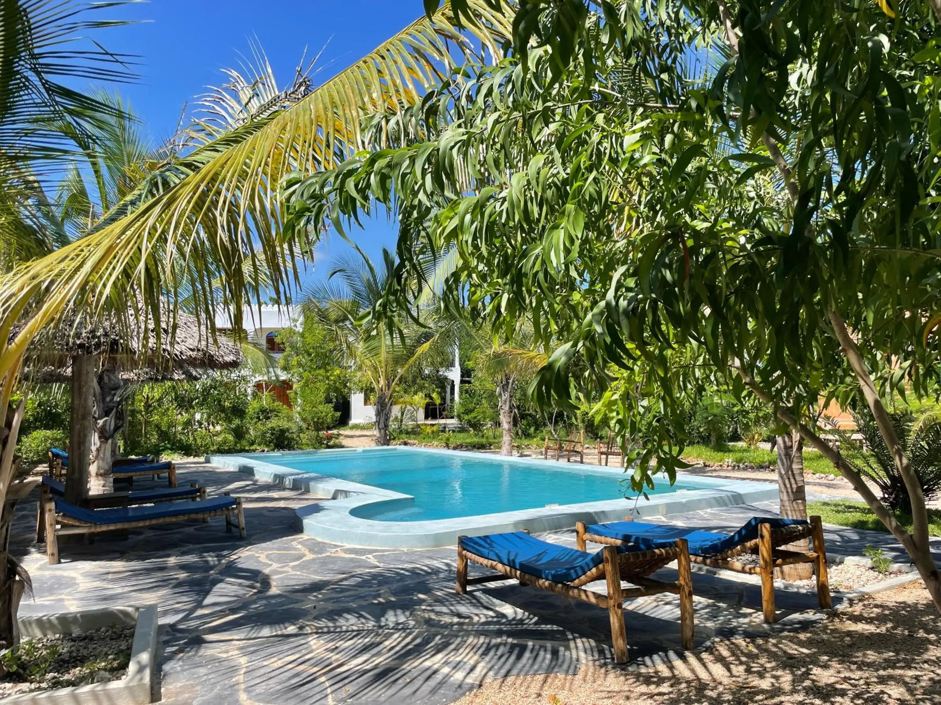 Kameleon Blue Kameleon Blue