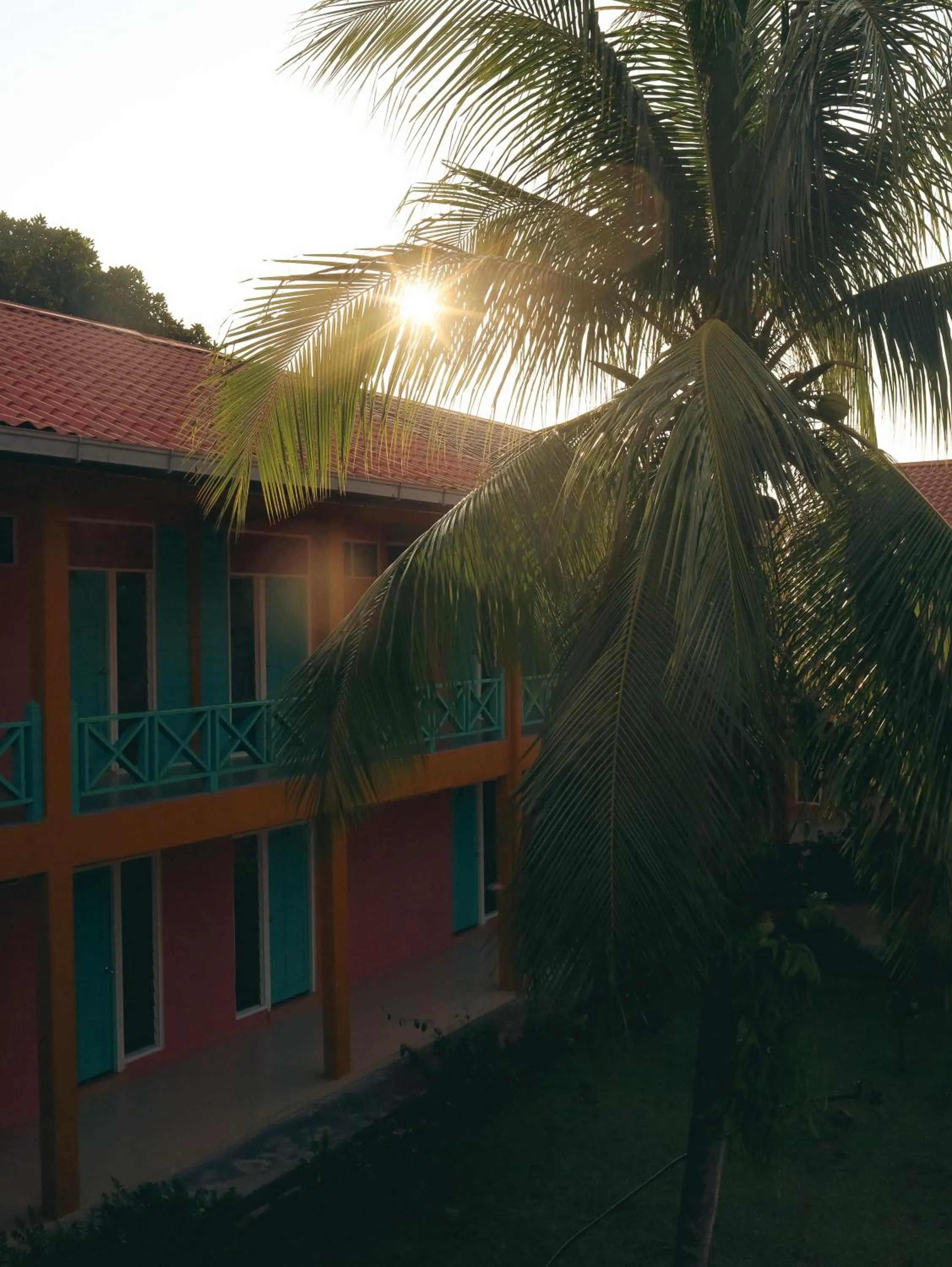 Property building in papaya resort