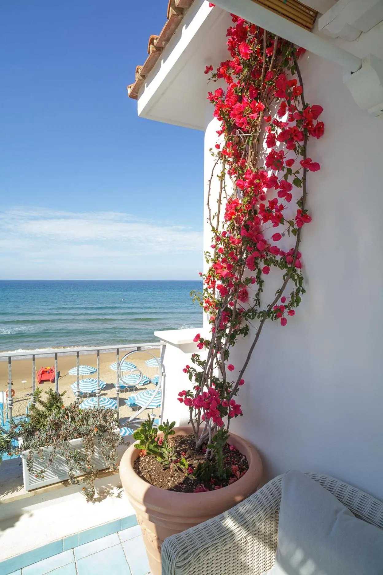Balcony/Terrace in Hotel Aurora