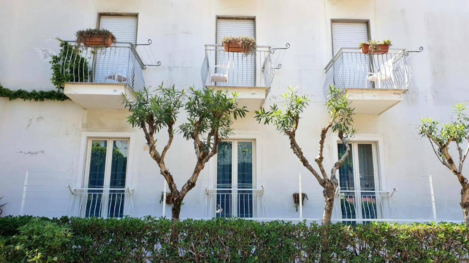 Property building in Hotel Aurora