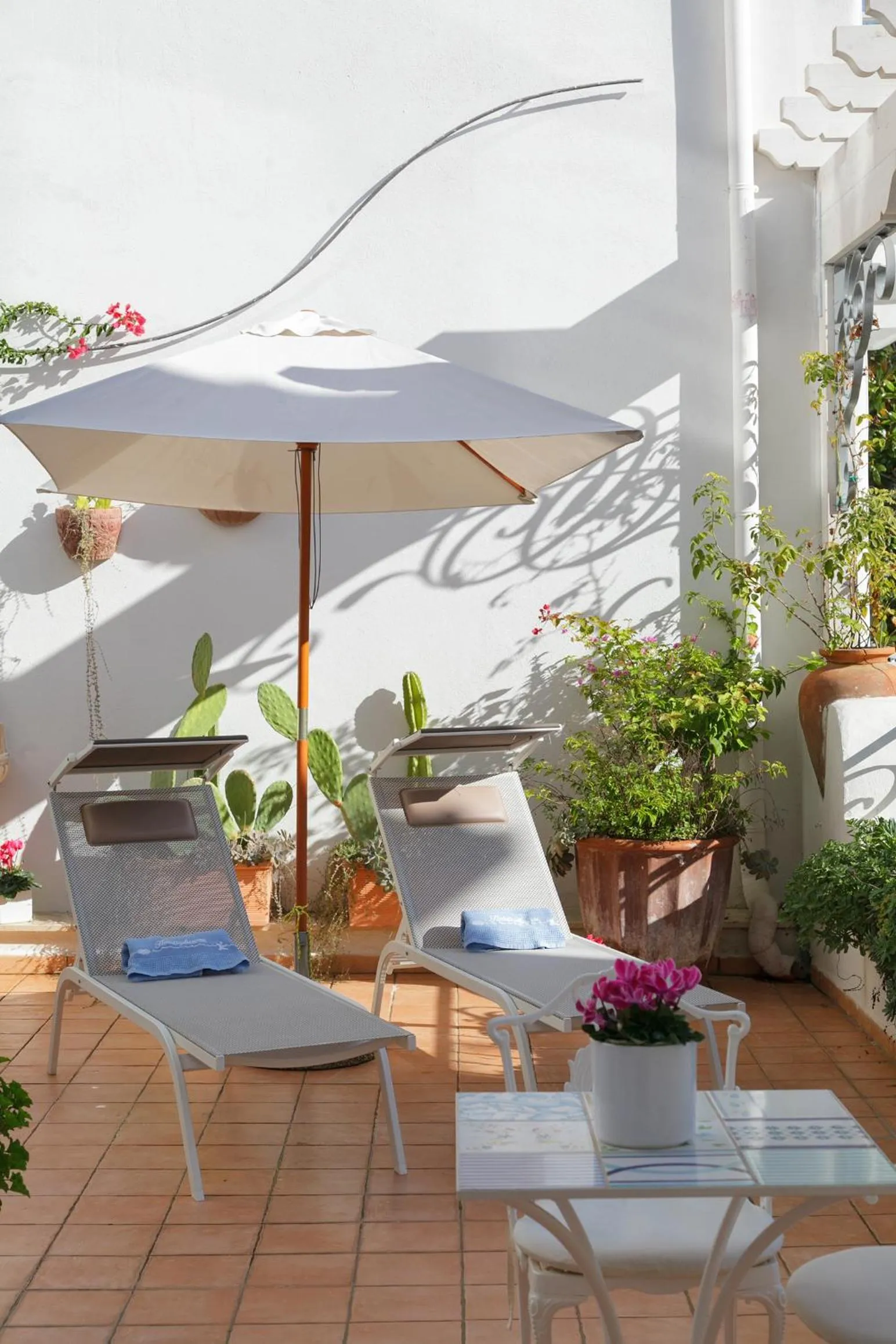 Balcony/Terrace in Hotel Aurora