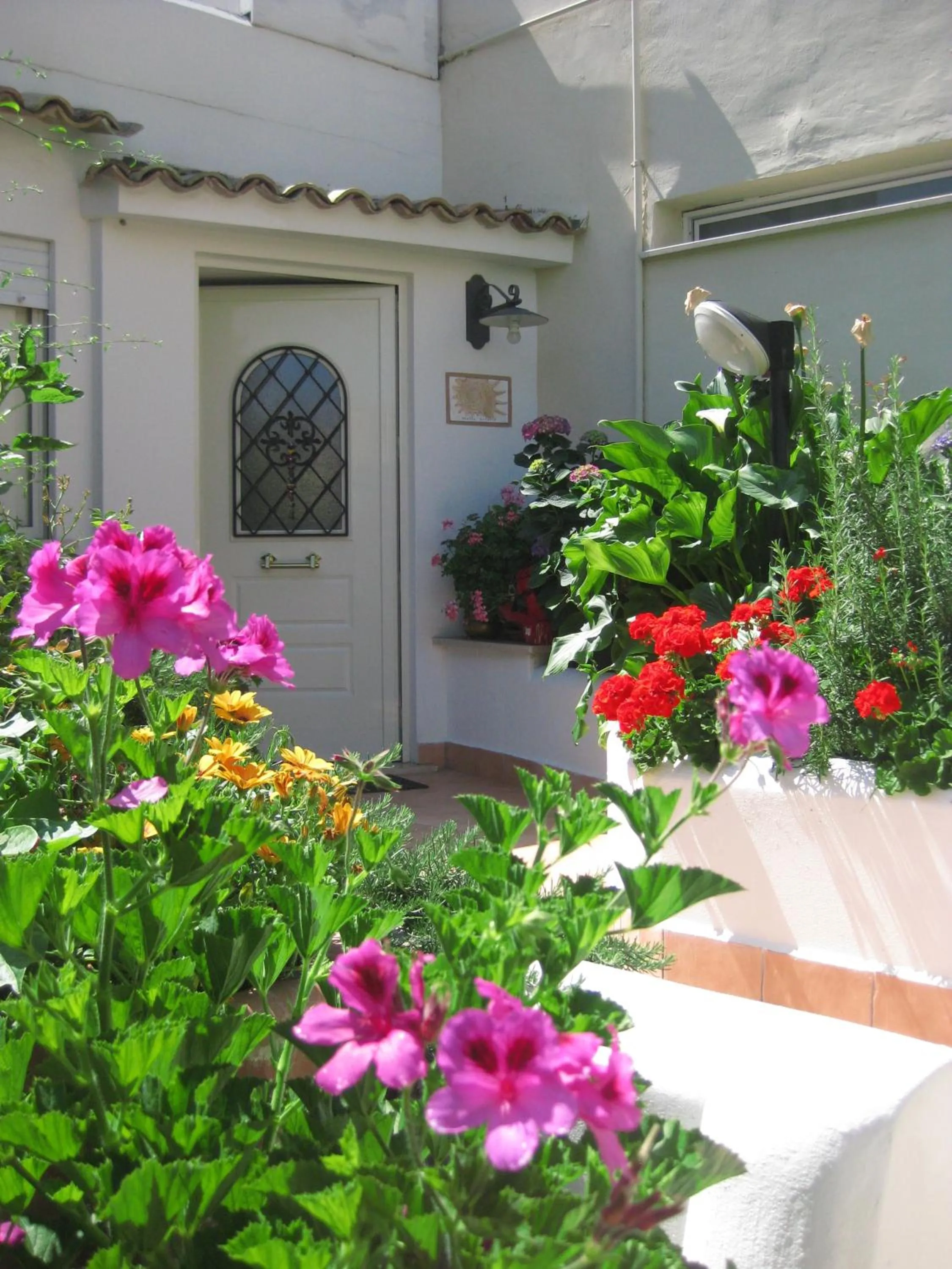 Garden in Hotel Aurora