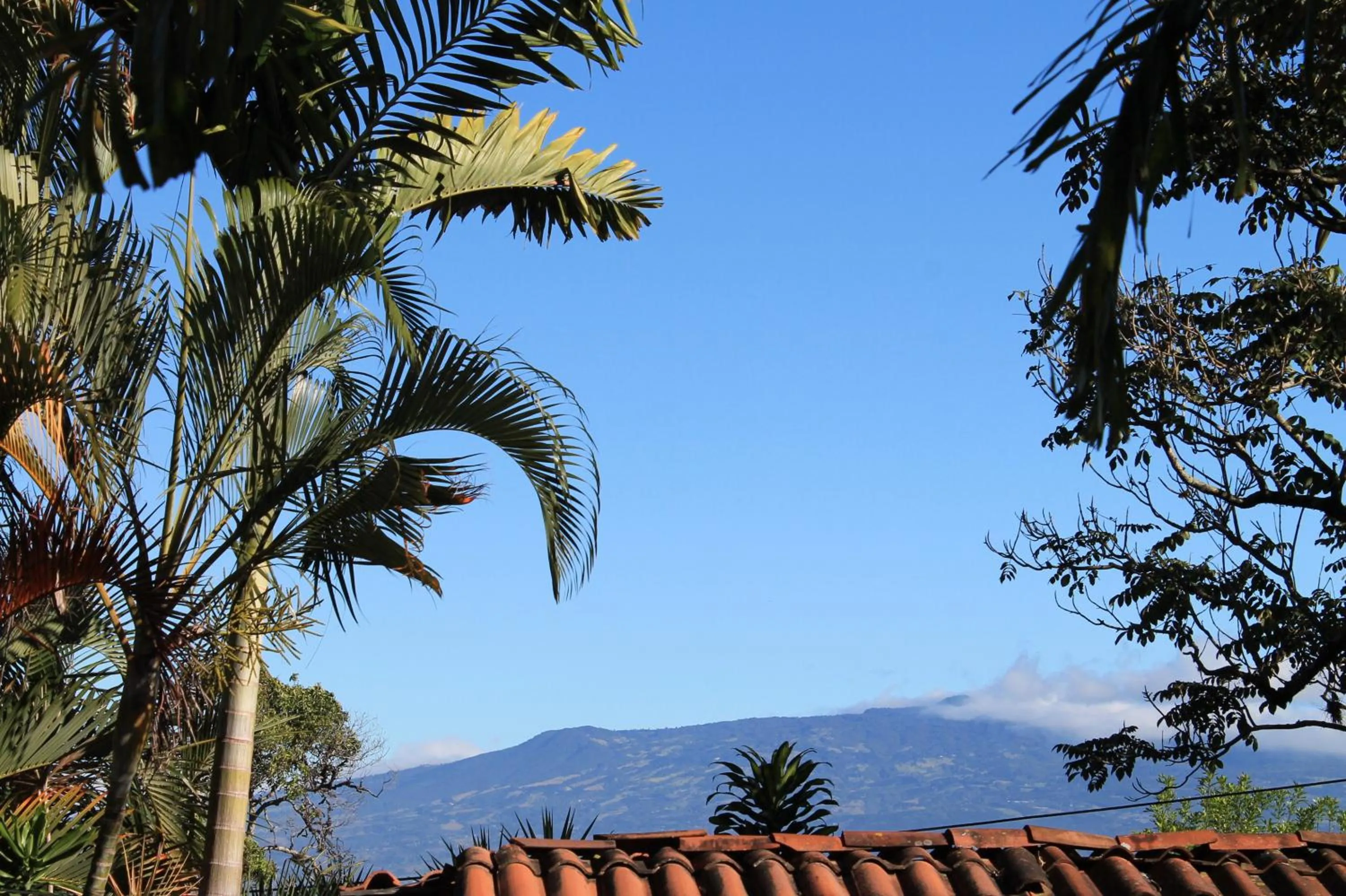 Balcony/Terrace in Costa Verde Inn