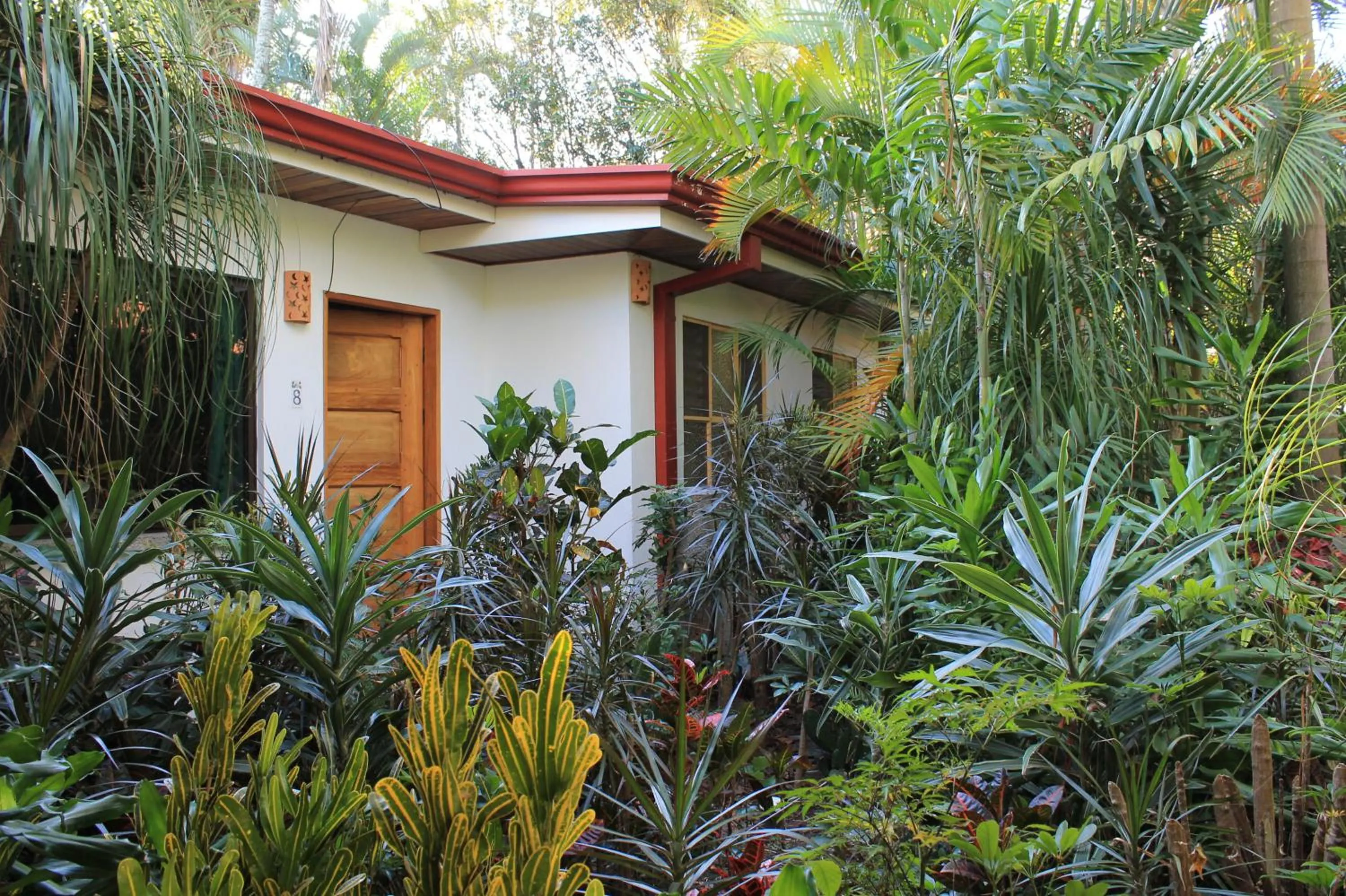Garden view in Costa Verde Inn
