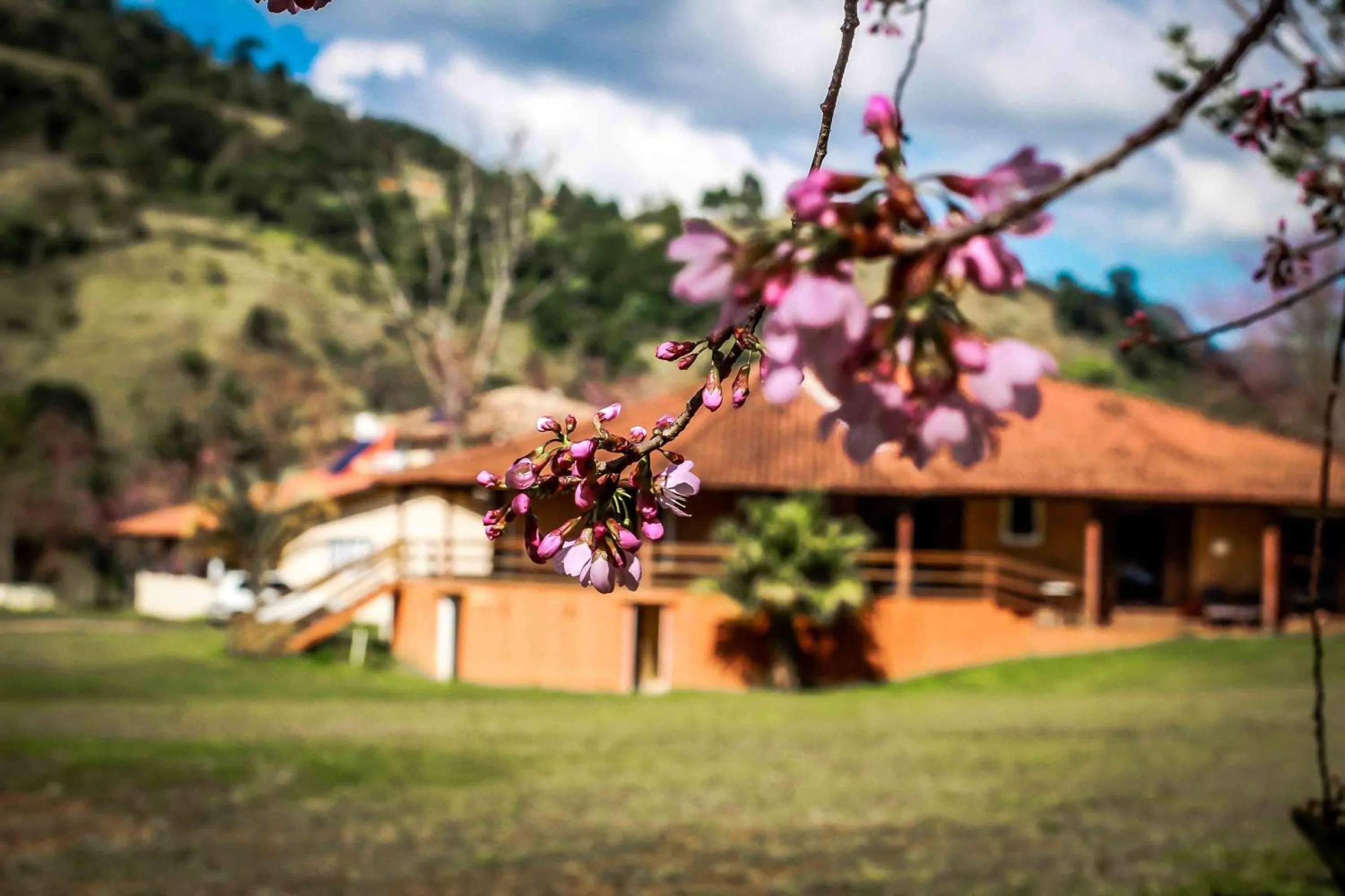 Pousada das Flores