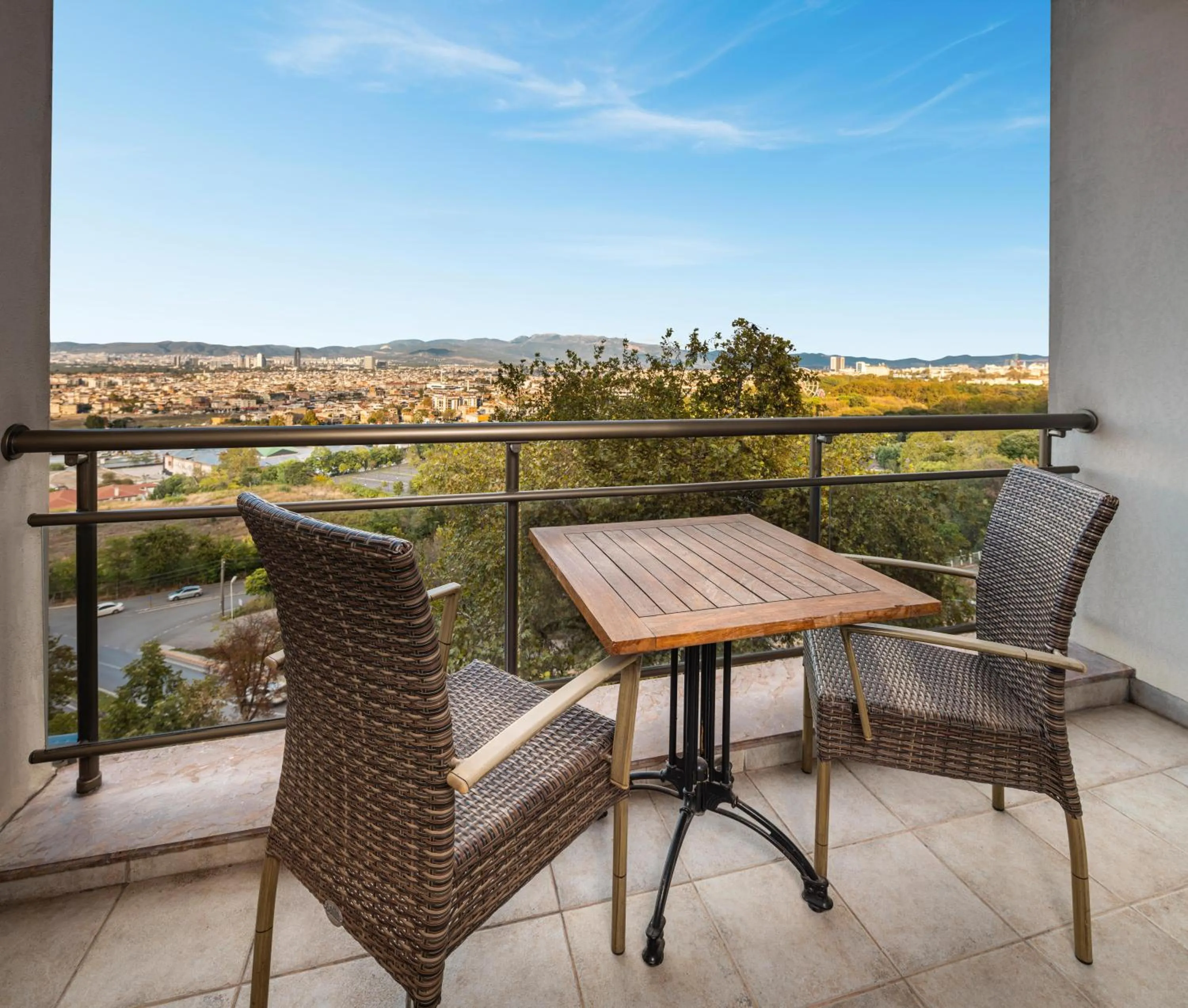 View (from property/room) in Hotel Çelik Palas Convention Center & Thermal SPA