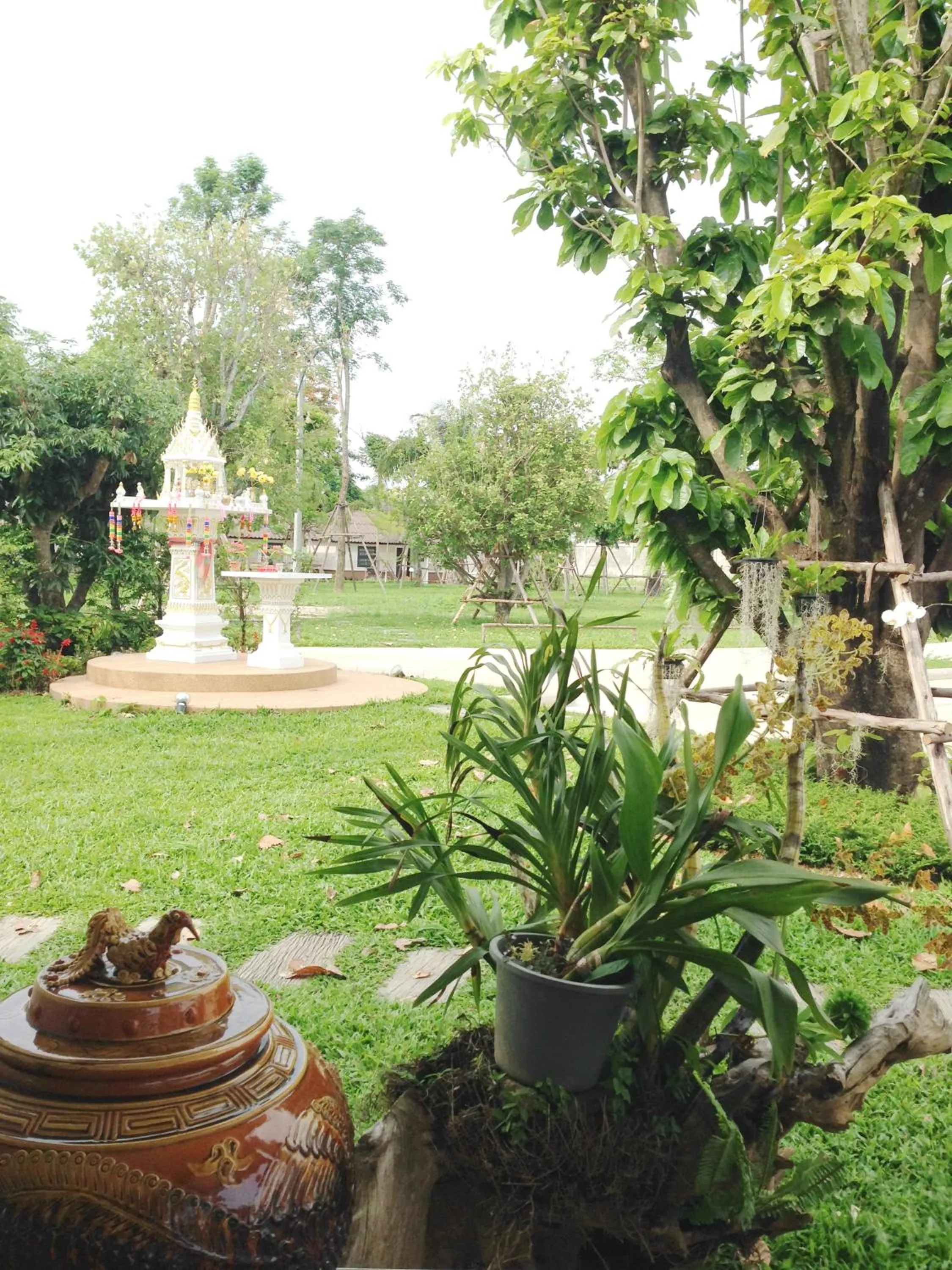 Garden in Chiangrai Green Park Resort