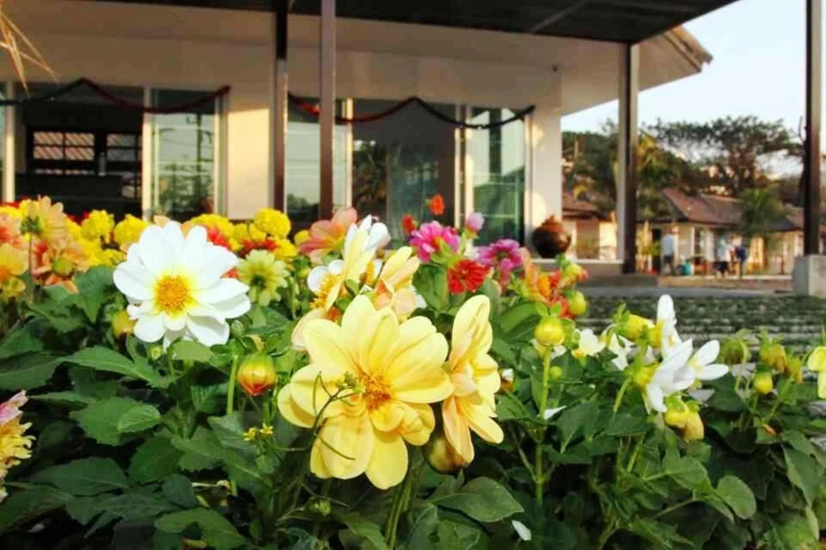 Facade/entrance in Chiangrai Green Park Resort