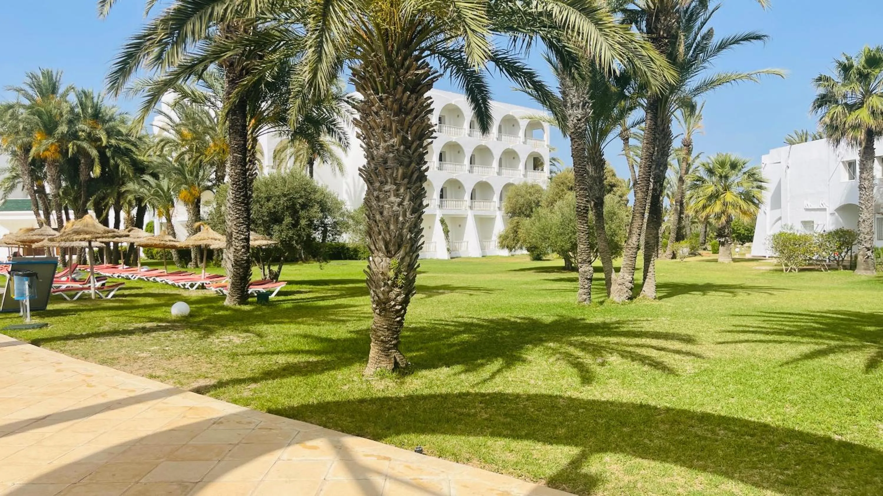 Garden in One Resort Jockey Monastir