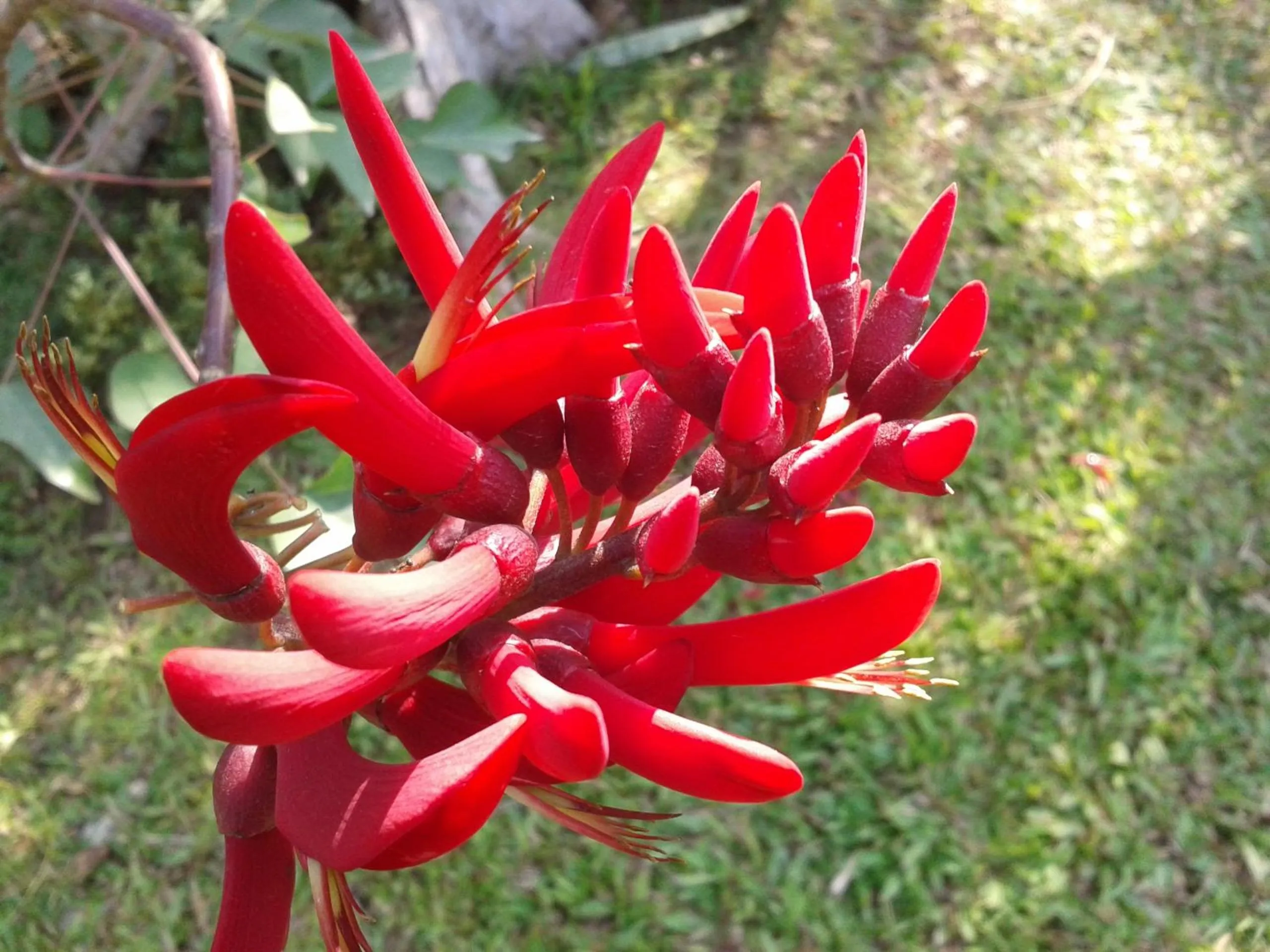 Garden in Huan Chiang Dao Resort