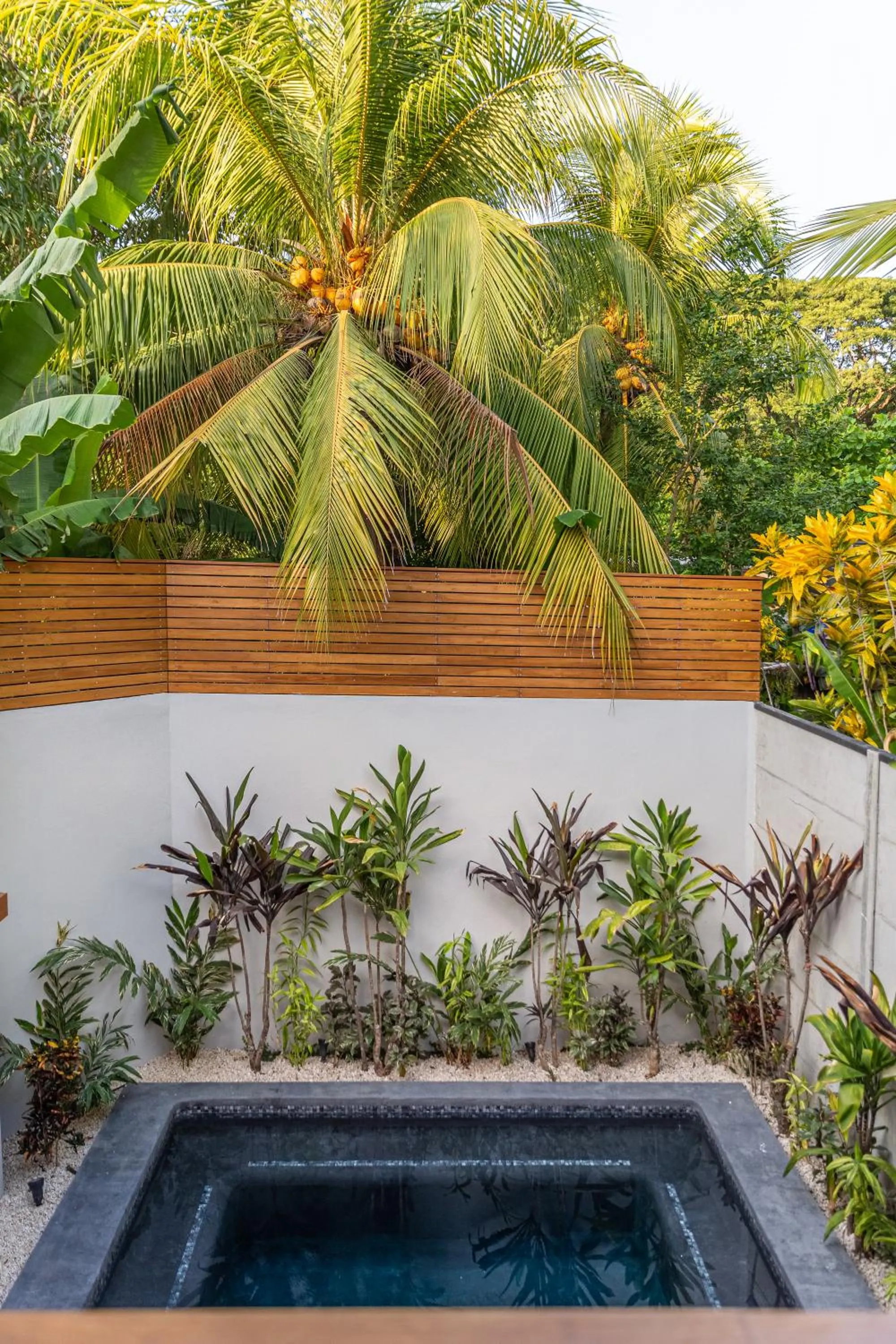 Natural landscape in Ventura Santa Teresa
