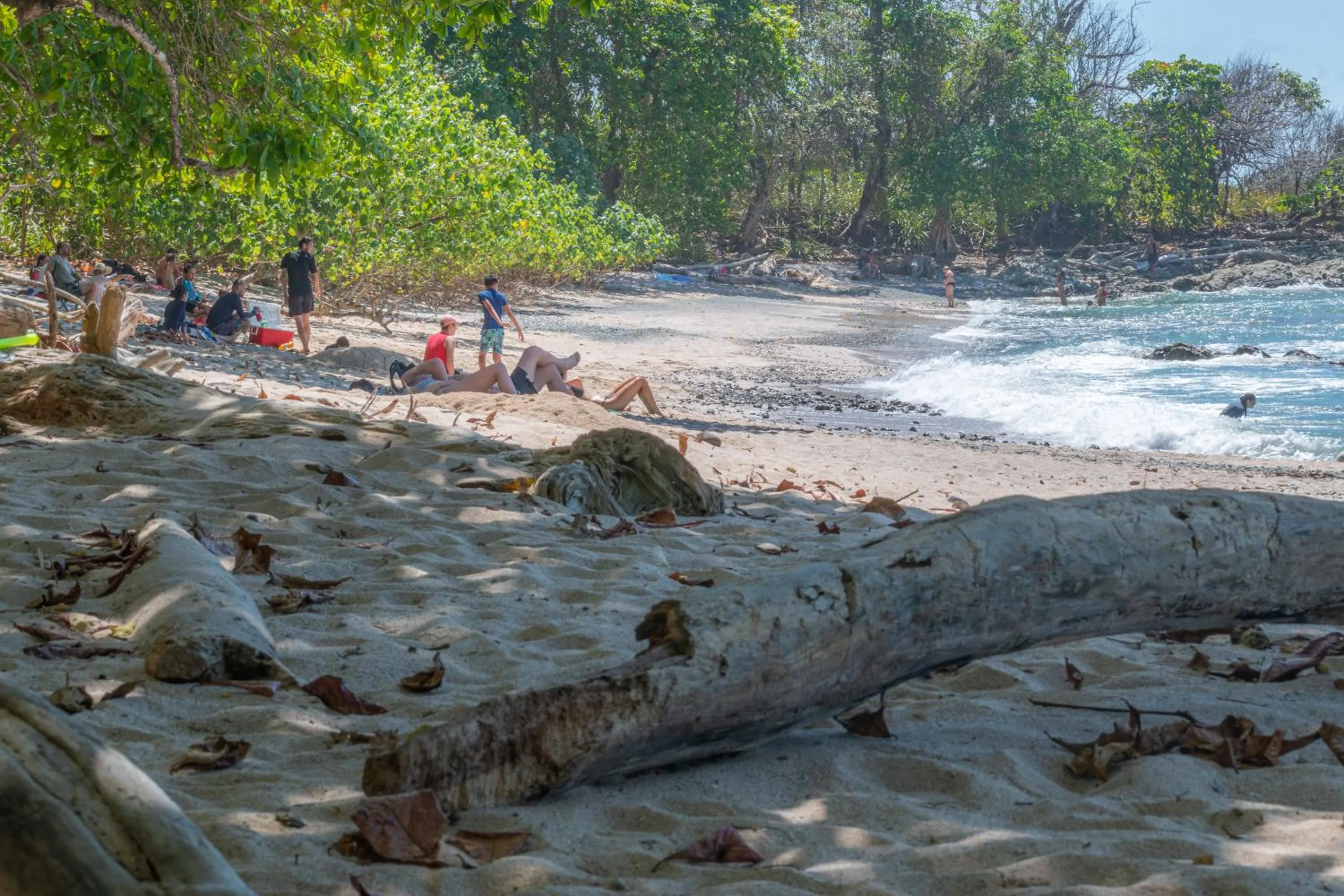 Nearby landmark in Ventura Santa Teresa