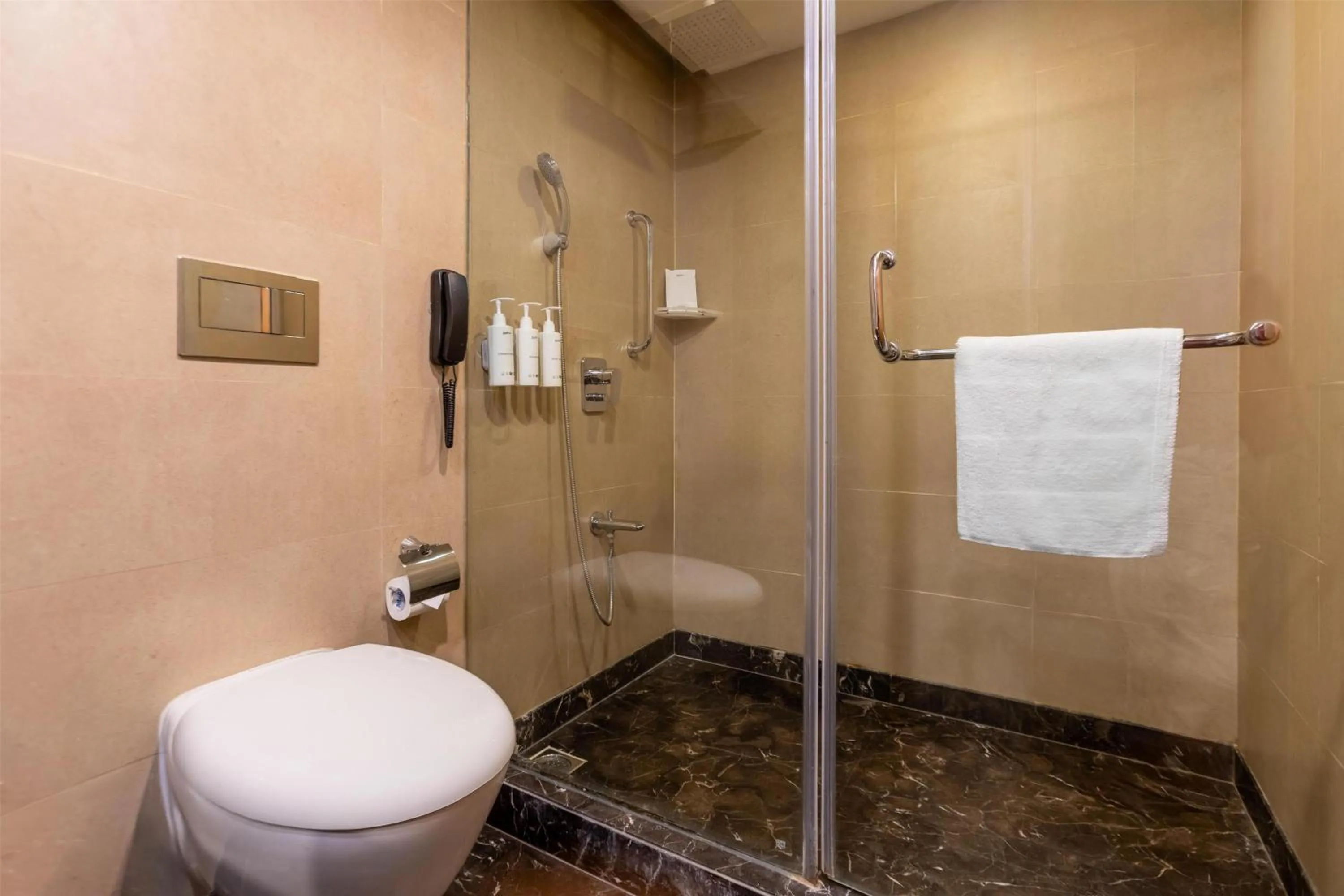 Photo of the whole room in Radisson Srinagar